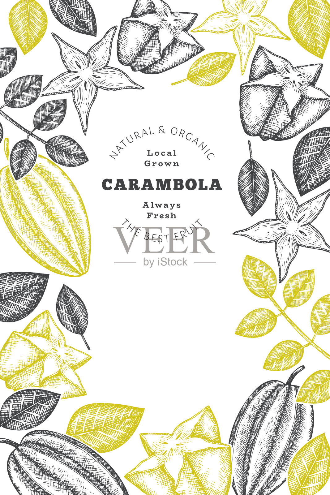 手绘素描风格的杨桃旗帜有机插画图片素材