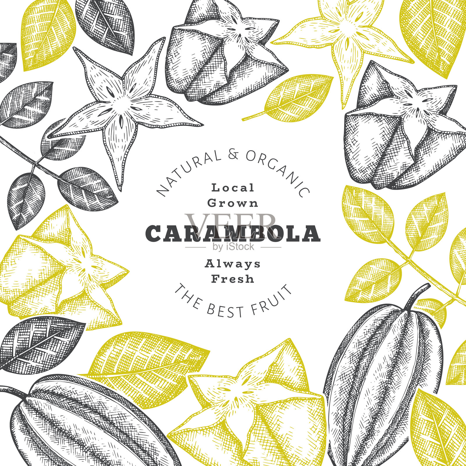 手绘素描风格的杨桃旗帜有机插画图片素材