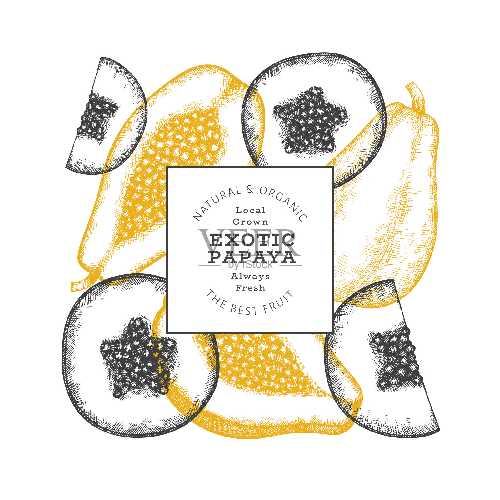 手绘素描风格的木瓜旗帜有机插画图片素材