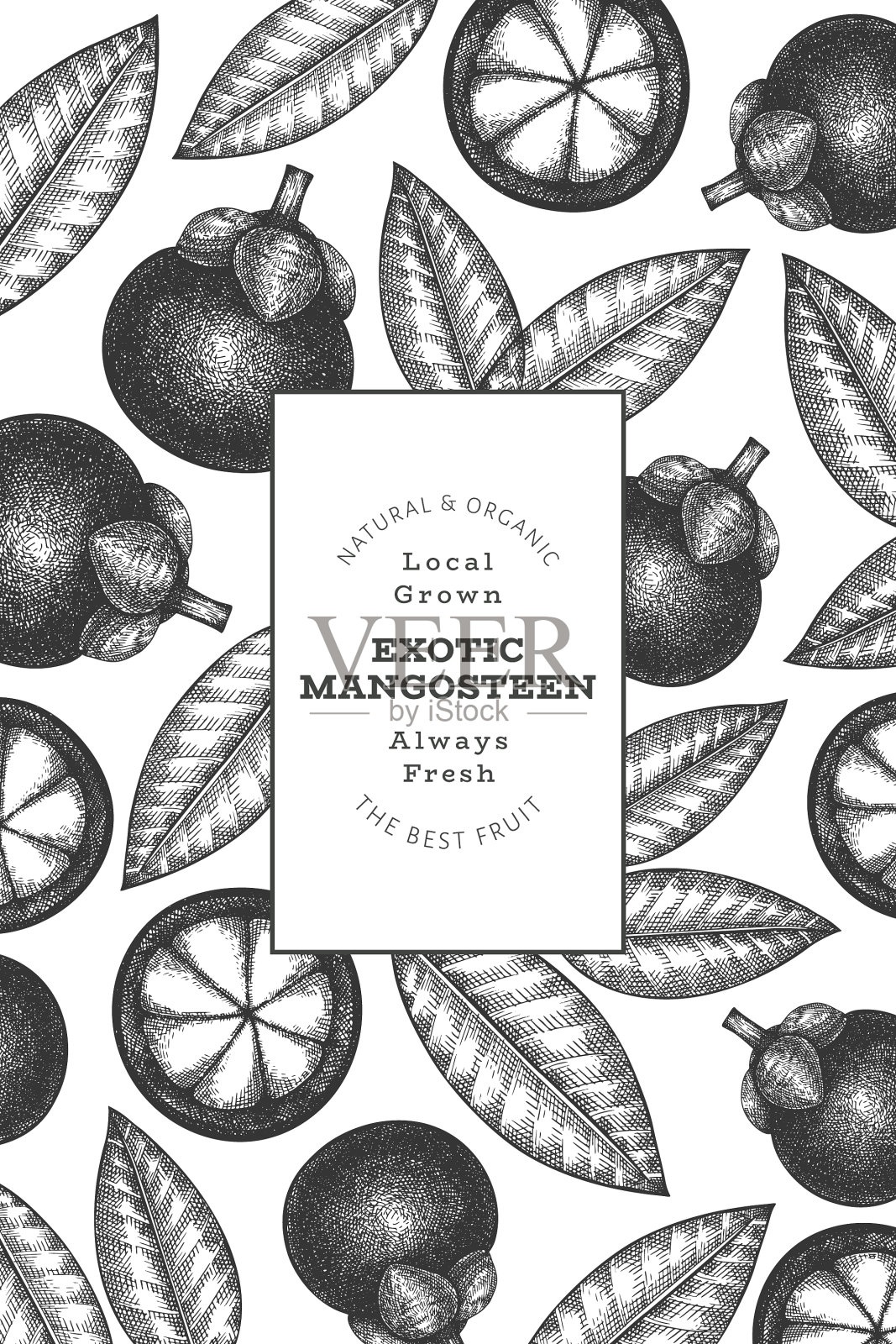 手绘草图风格的山竹图案插画图片素材