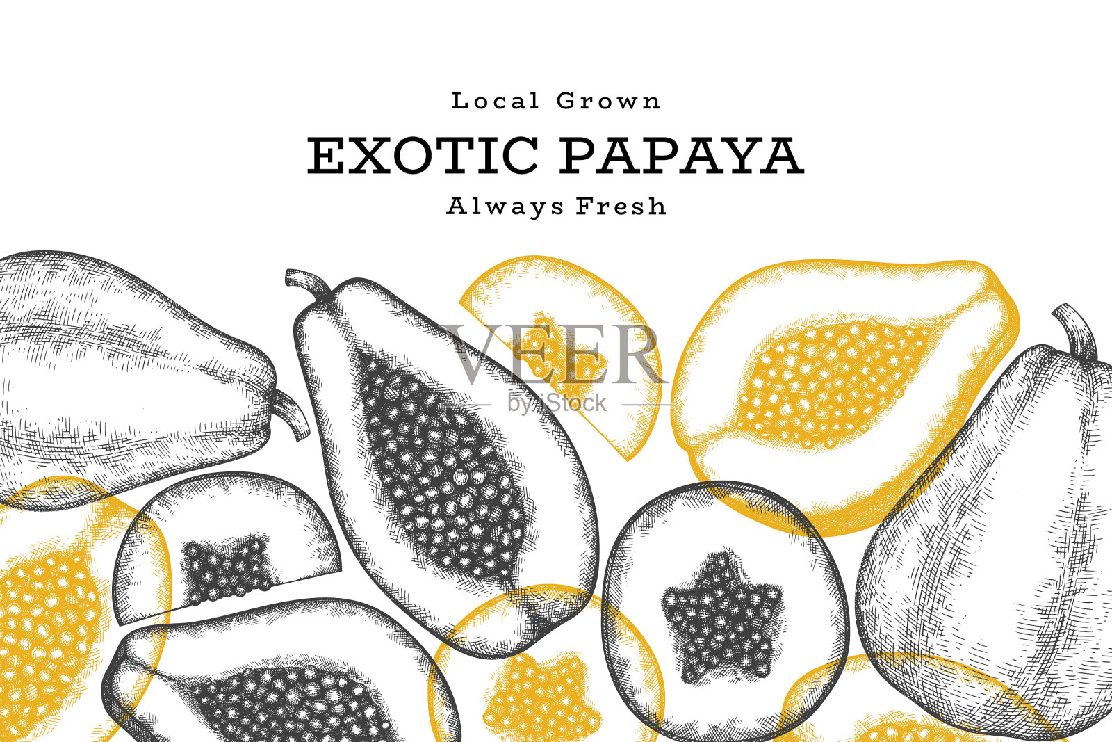 手绘素描风格的木瓜旗帜有机插画图片素材