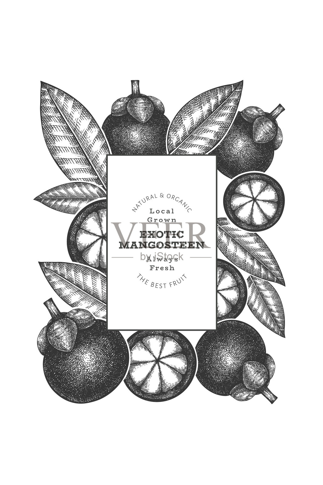 手绘草图风格的山竹图案插画图片素材