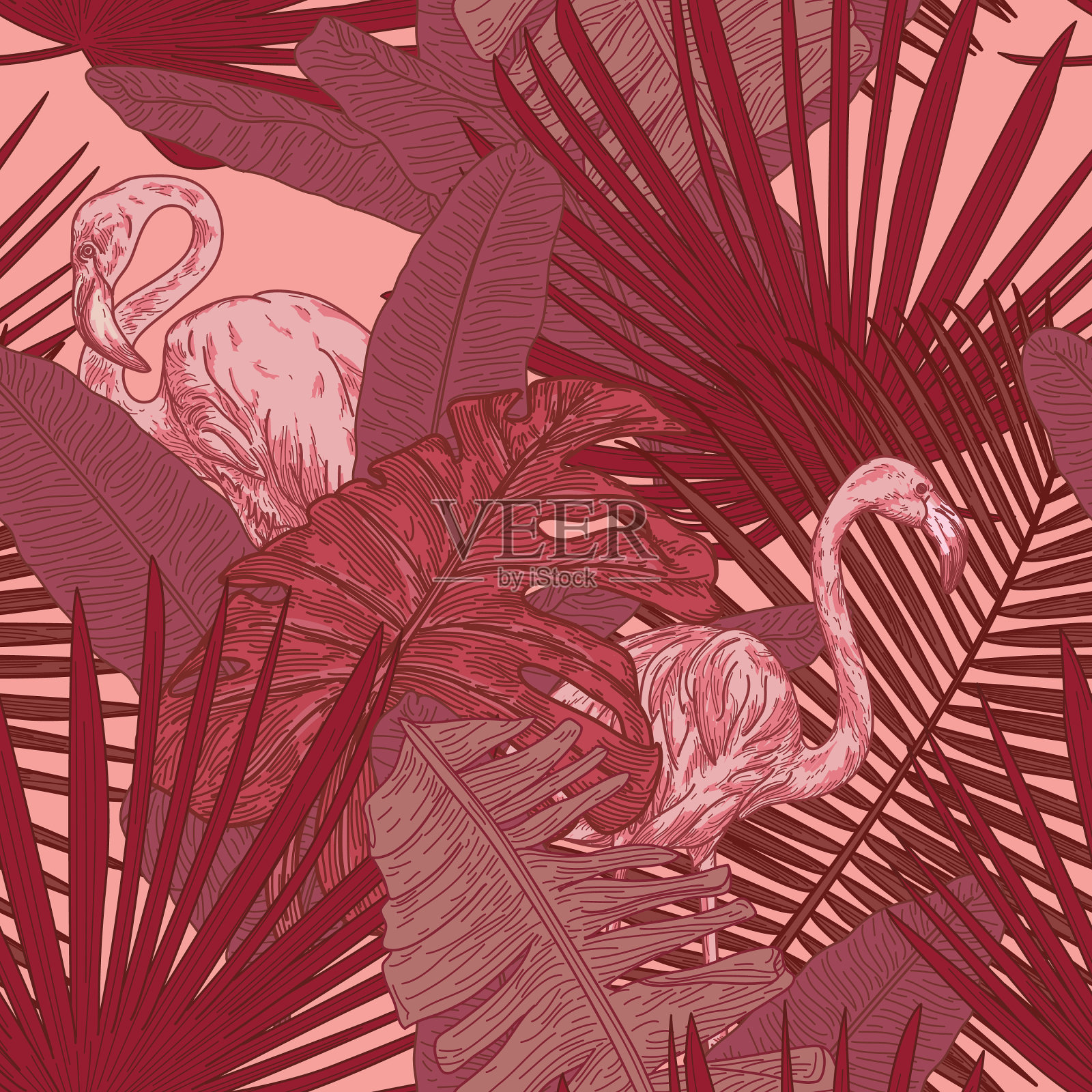 大胆无缝热带火烈鸟模式插画图片素材