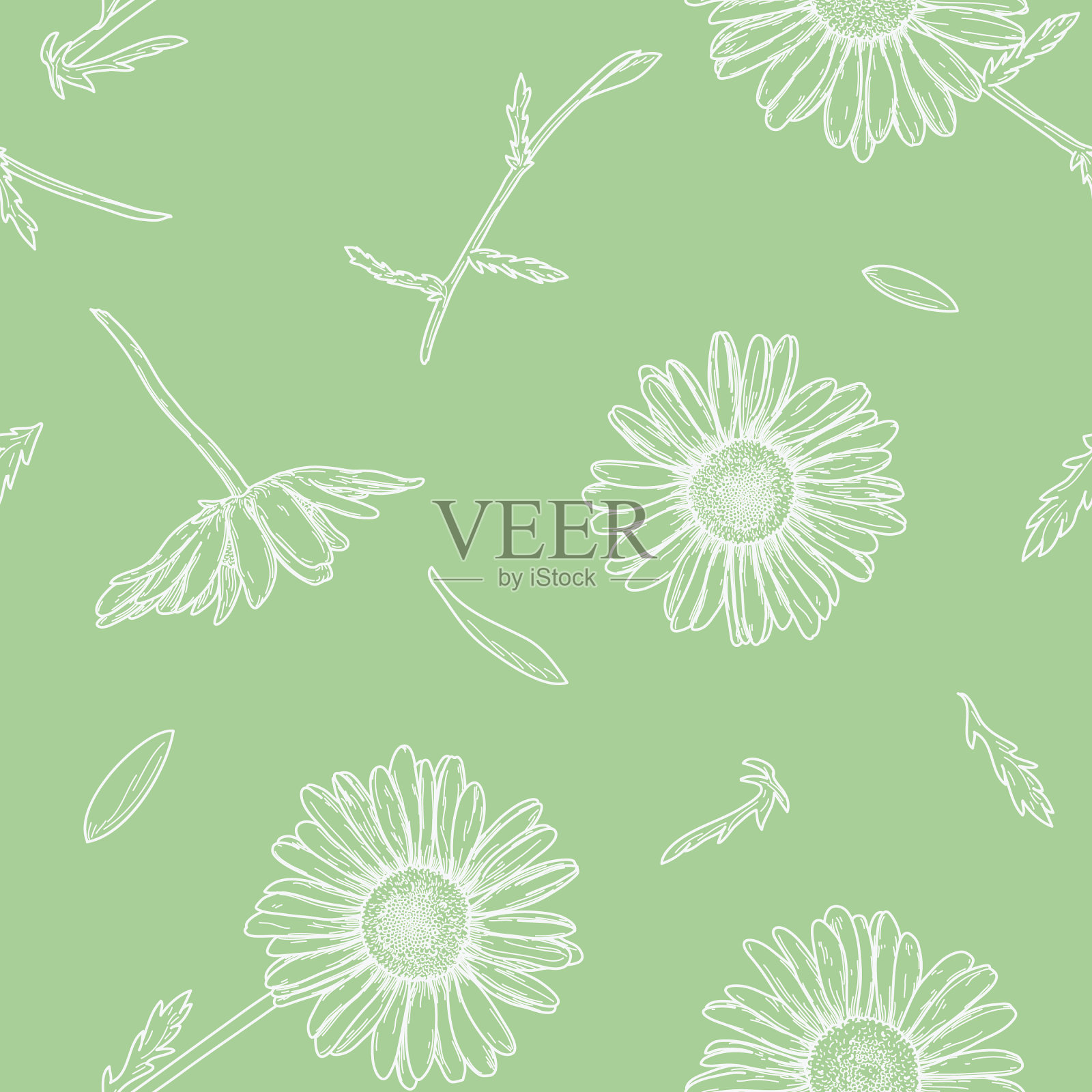 清新可爱的春天雏菊复古无缝图案插画图片素材