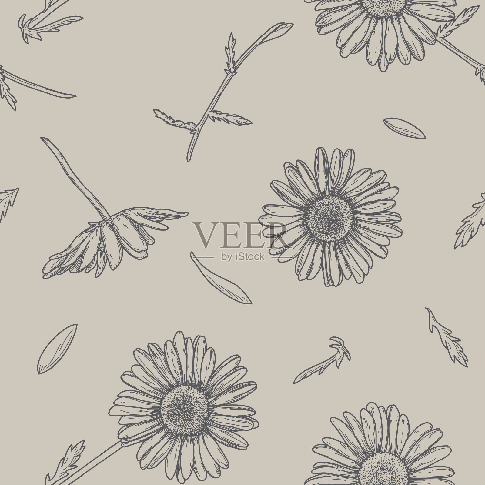 清新可爱的春天雏菊复古无缝图案插画图片素材