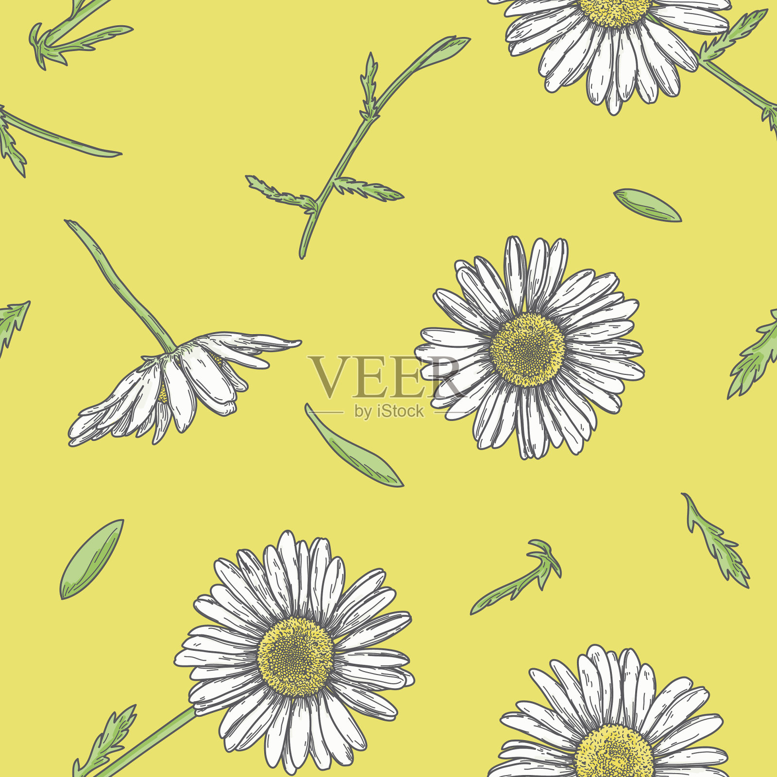 清新可爱的春天雏菊复古无缝图案插画图片素材