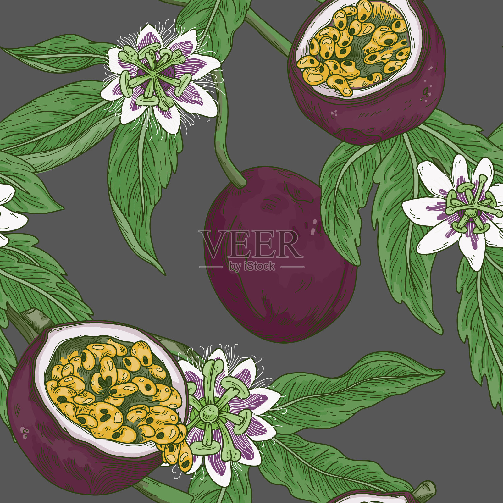 陈年百香葡萄开花无缝图案插画图片素材