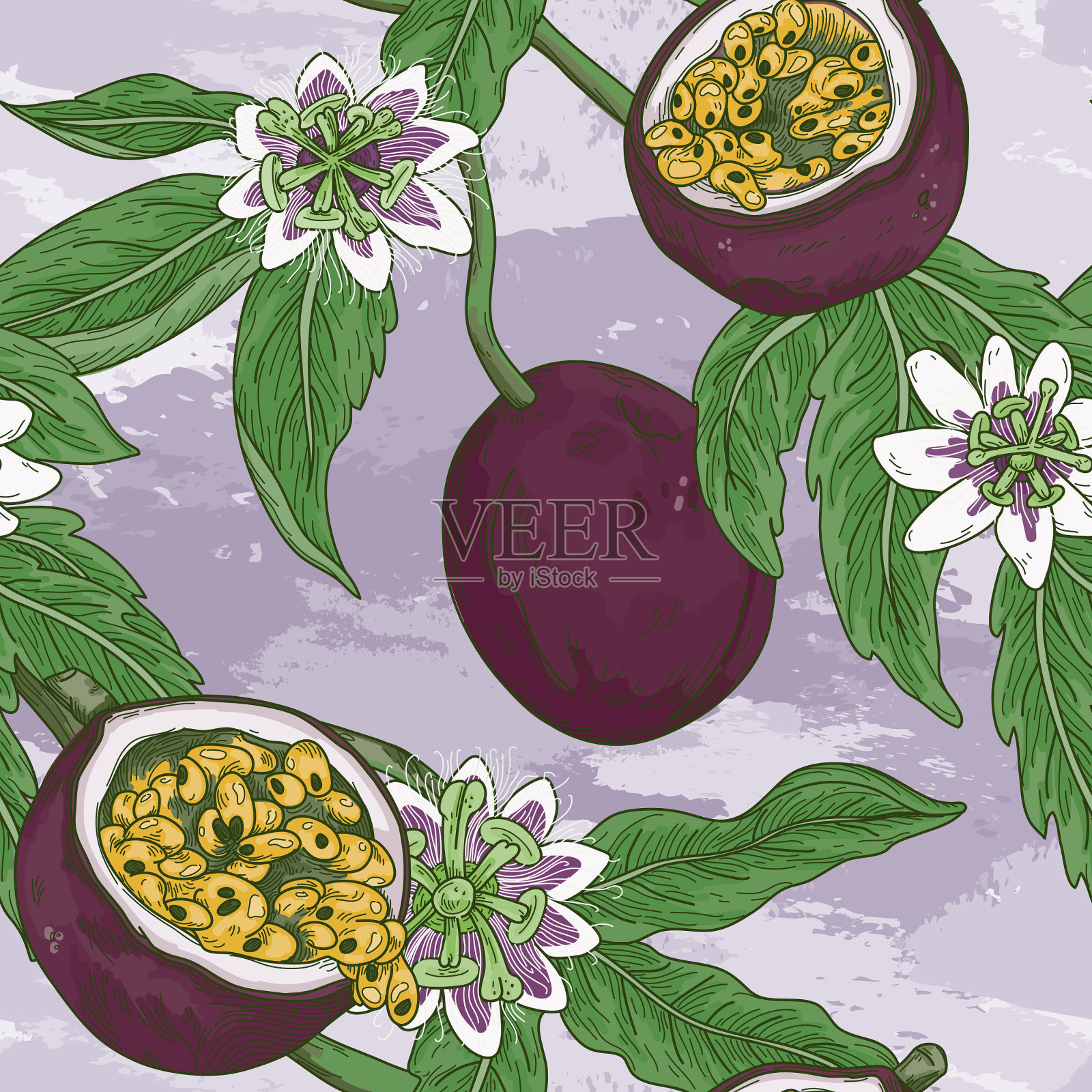 陈年百香葡萄开花无缝图案插画图片素材