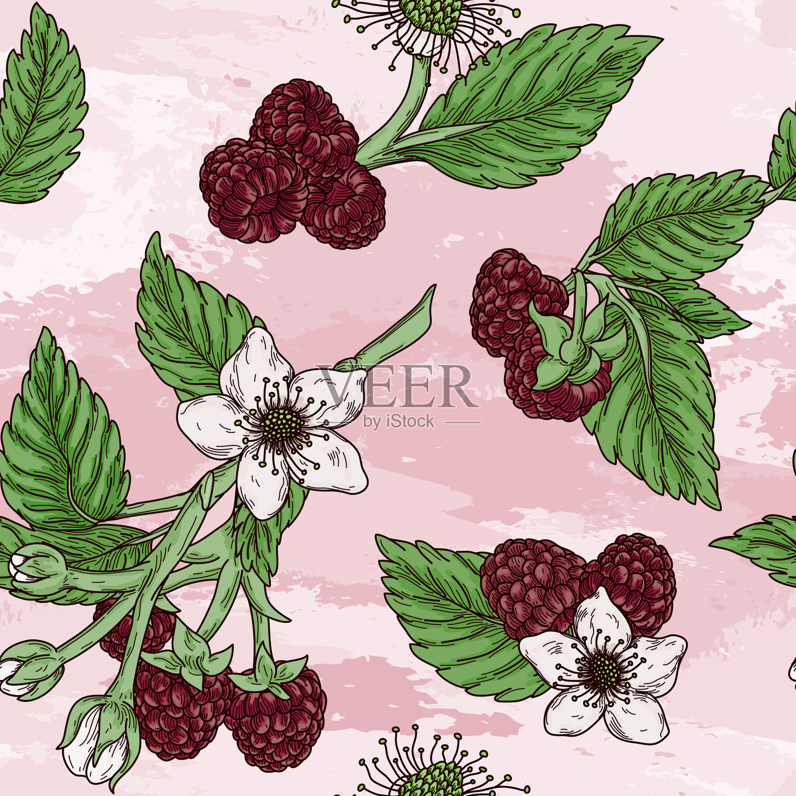 陈年覆盆子开花无缝图案插画图片素材