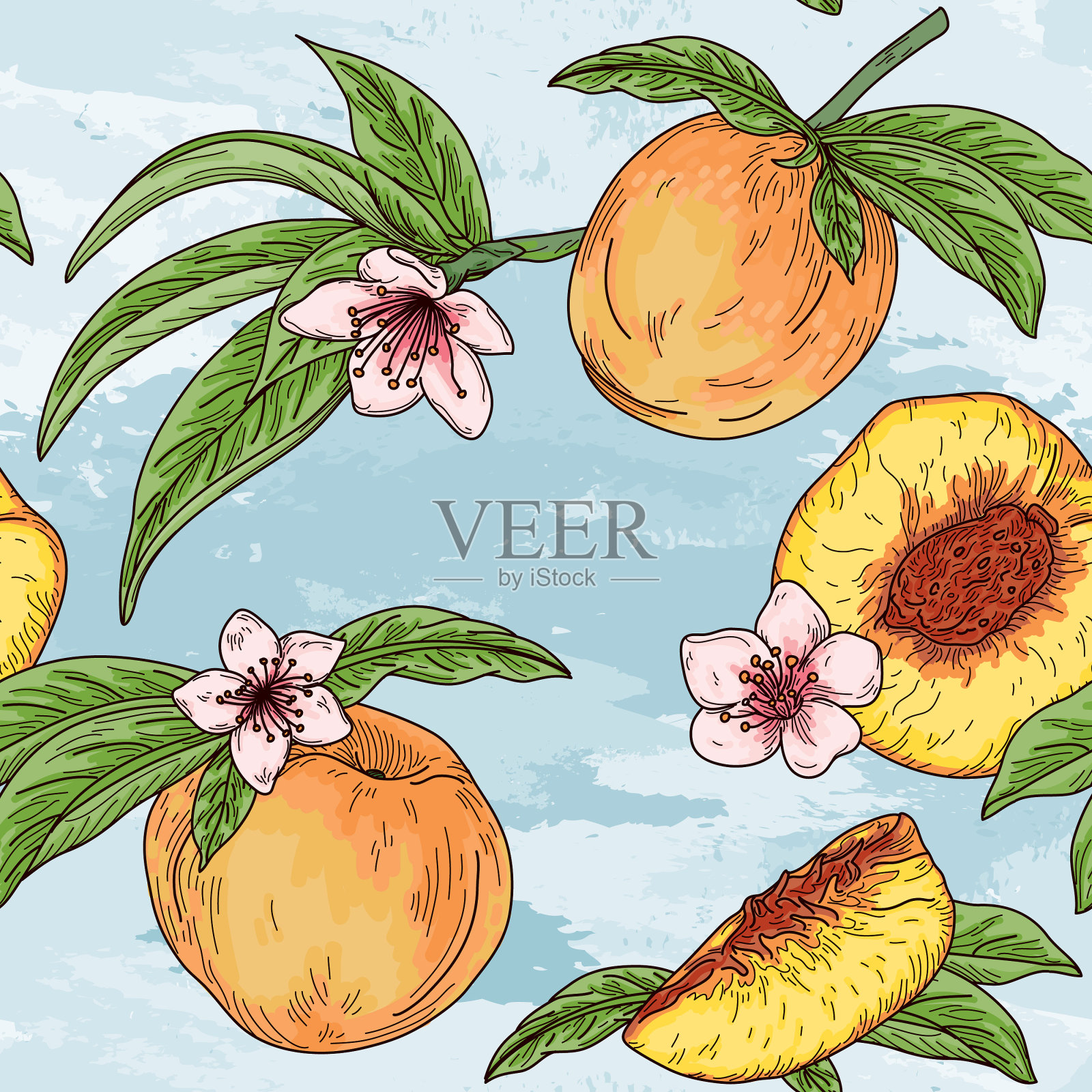 陈年桃树开花无缝图案插画图片素材