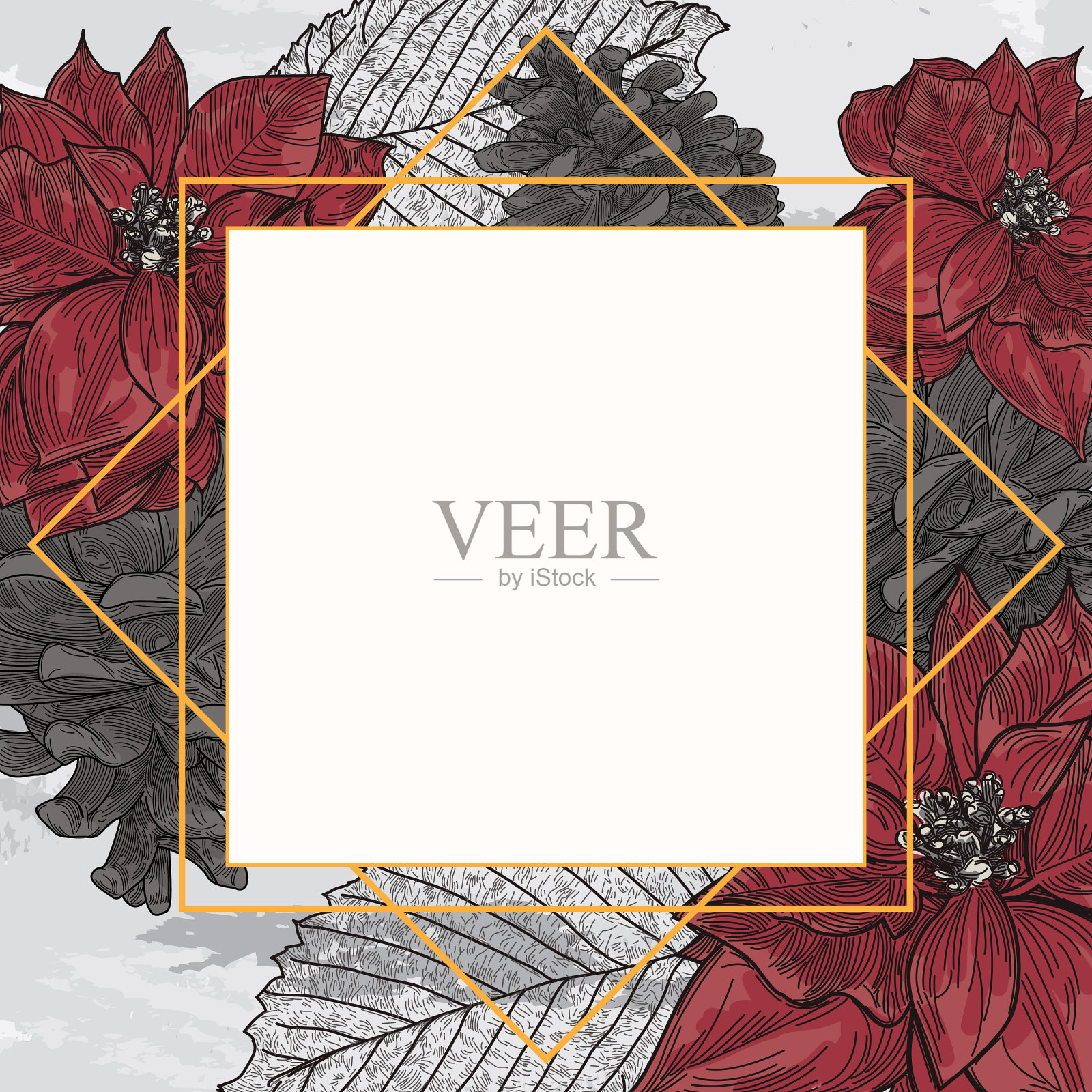 一品红松果圣诞或冬季框架插画图片素材