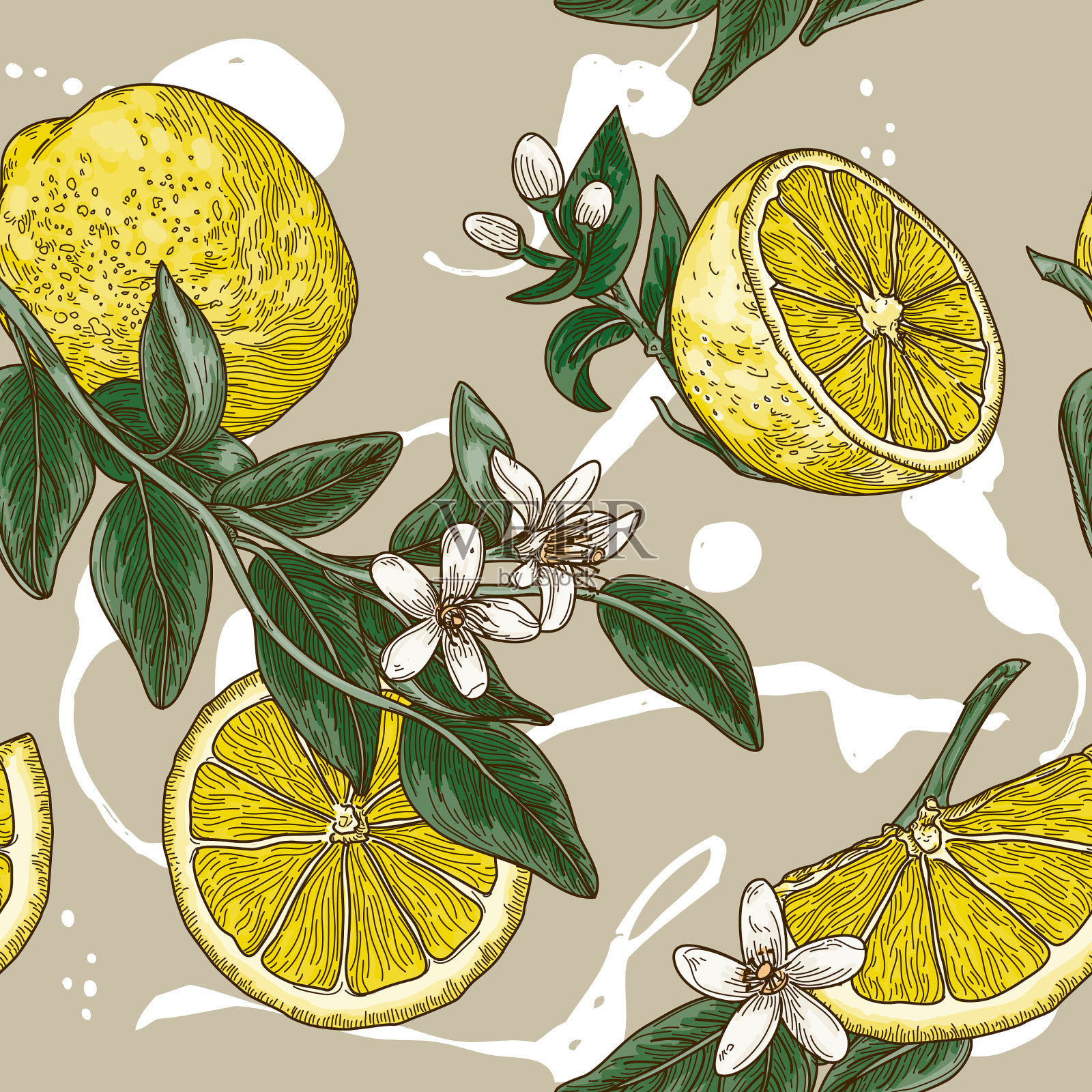 复古柠檬柑橘花无缝模式插画图片素材