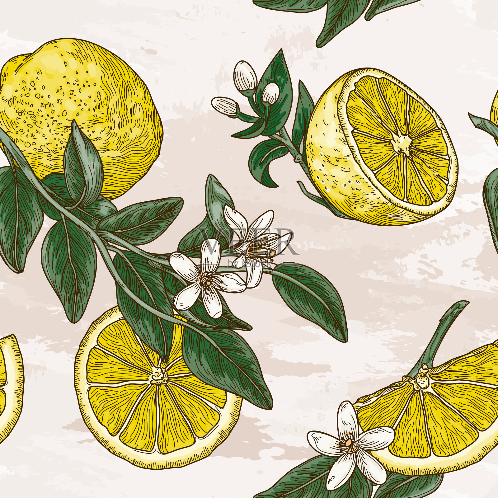 复古柠檬柑橘花无缝模式插画图片素材
