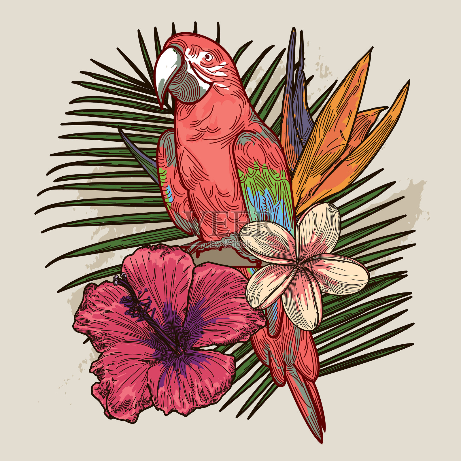 热带植物和花束插画图片素材