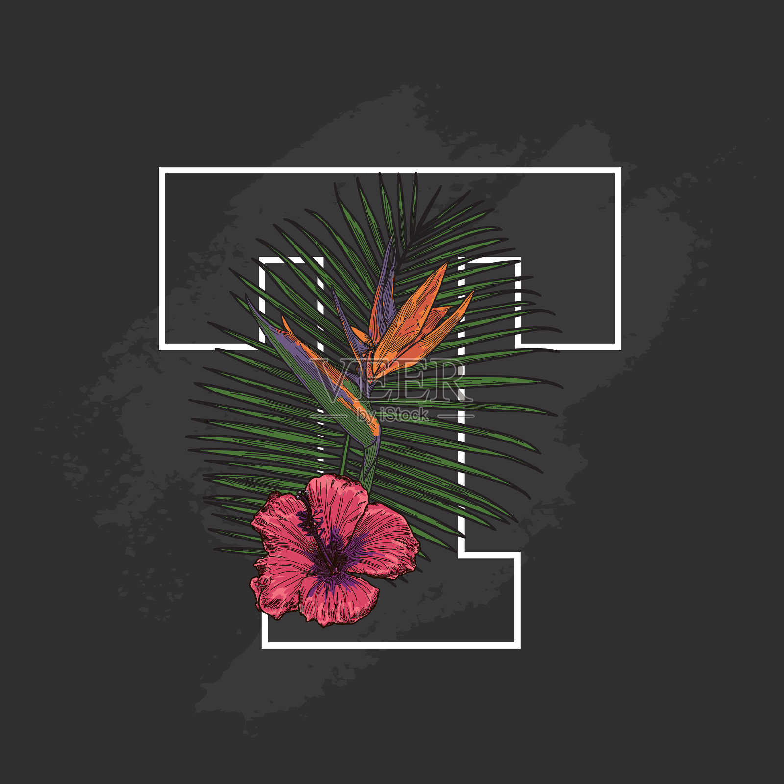 黑板热带植物花卉滴帽T插画图片素材