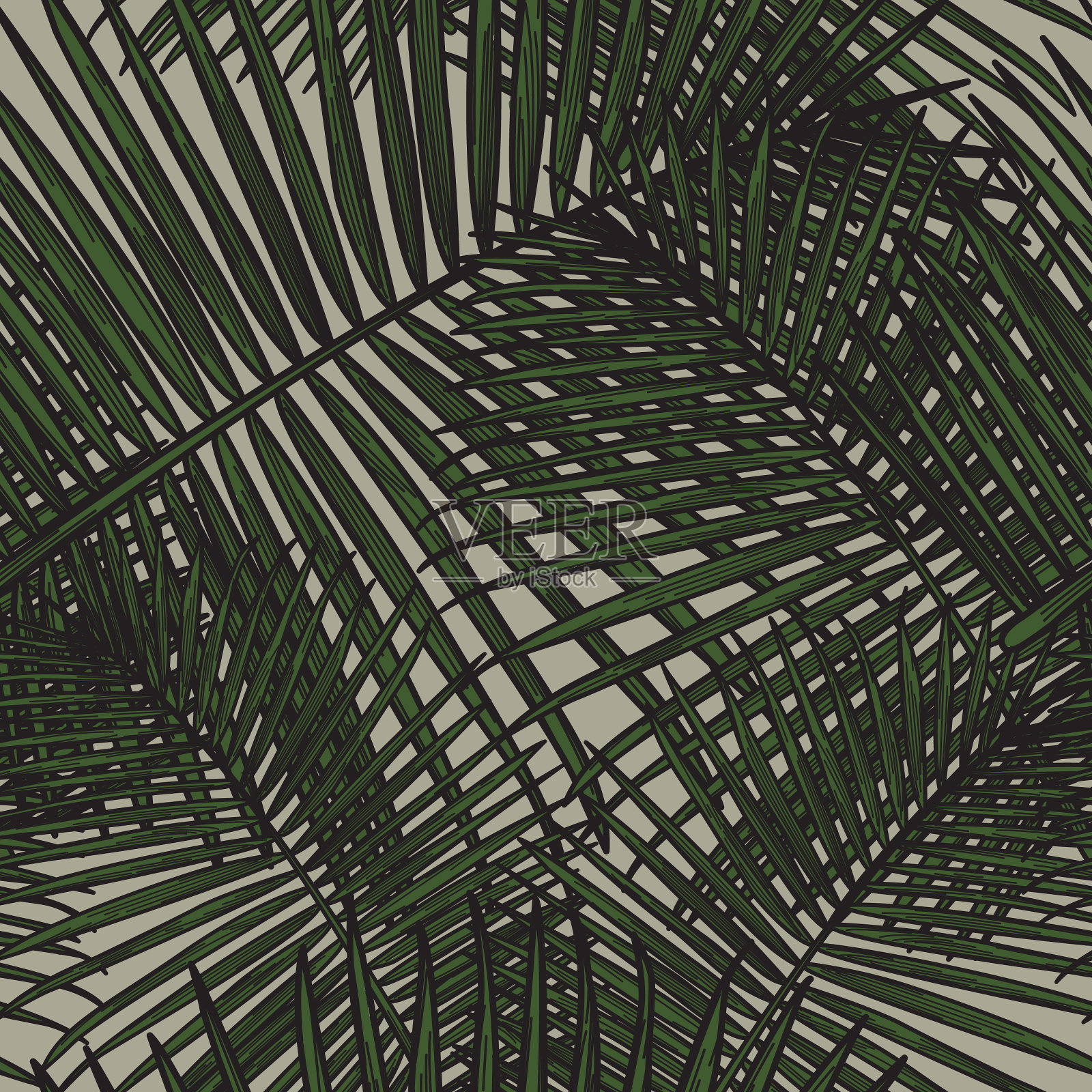 无缝热带棕榈叶图案插画图片素材