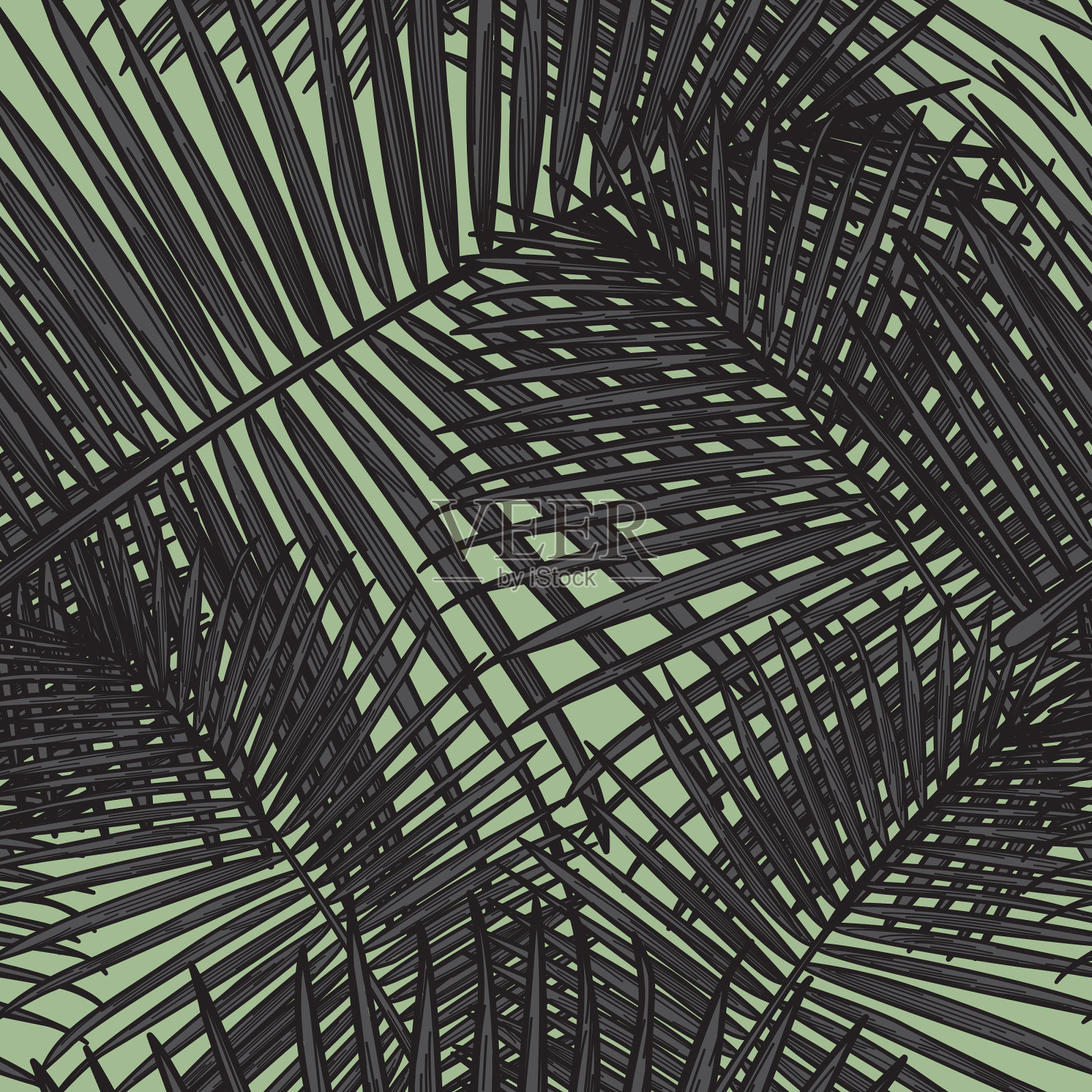 无缝热带棕榈叶图案插画图片素材