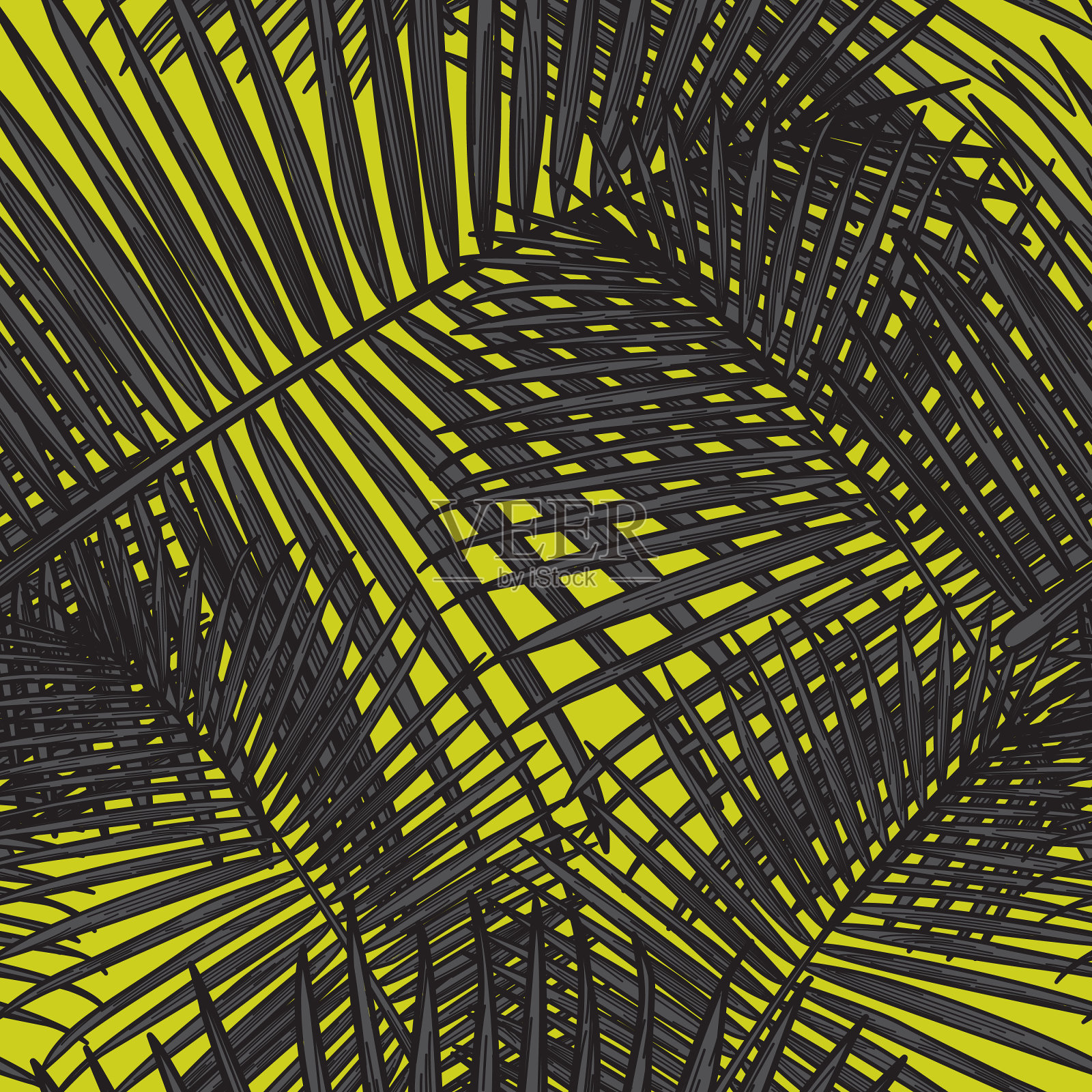 无缝热带棕榈叶图案插画图片素材