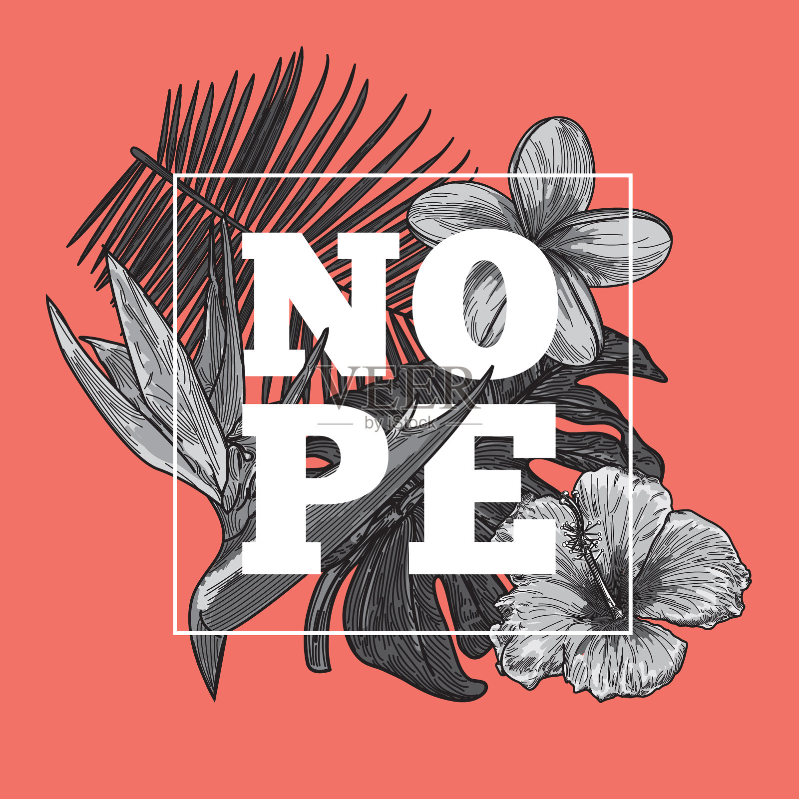 珊瑚热带花设计插画图片素材