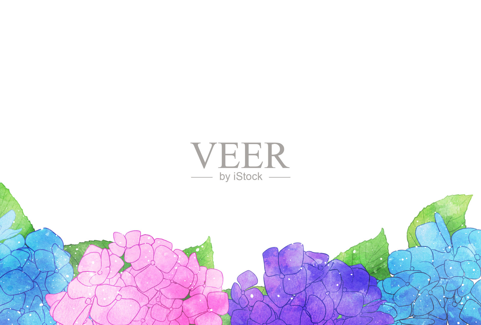 美丽的水彩绣球背景插图插画图片素材