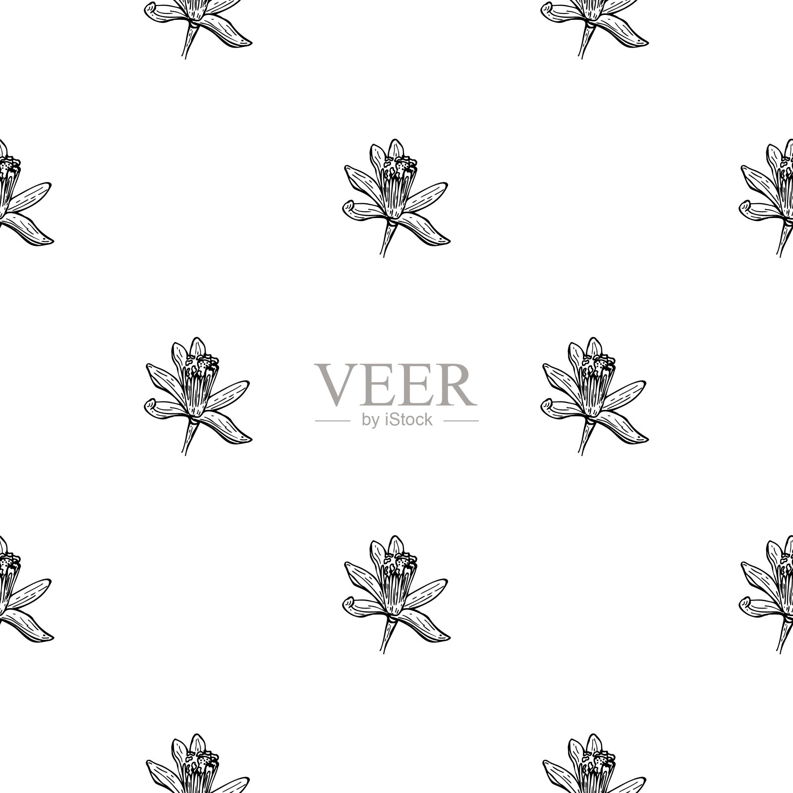 无缝图案花刻。复古背景花园花卉手绘风格。插画图片素材