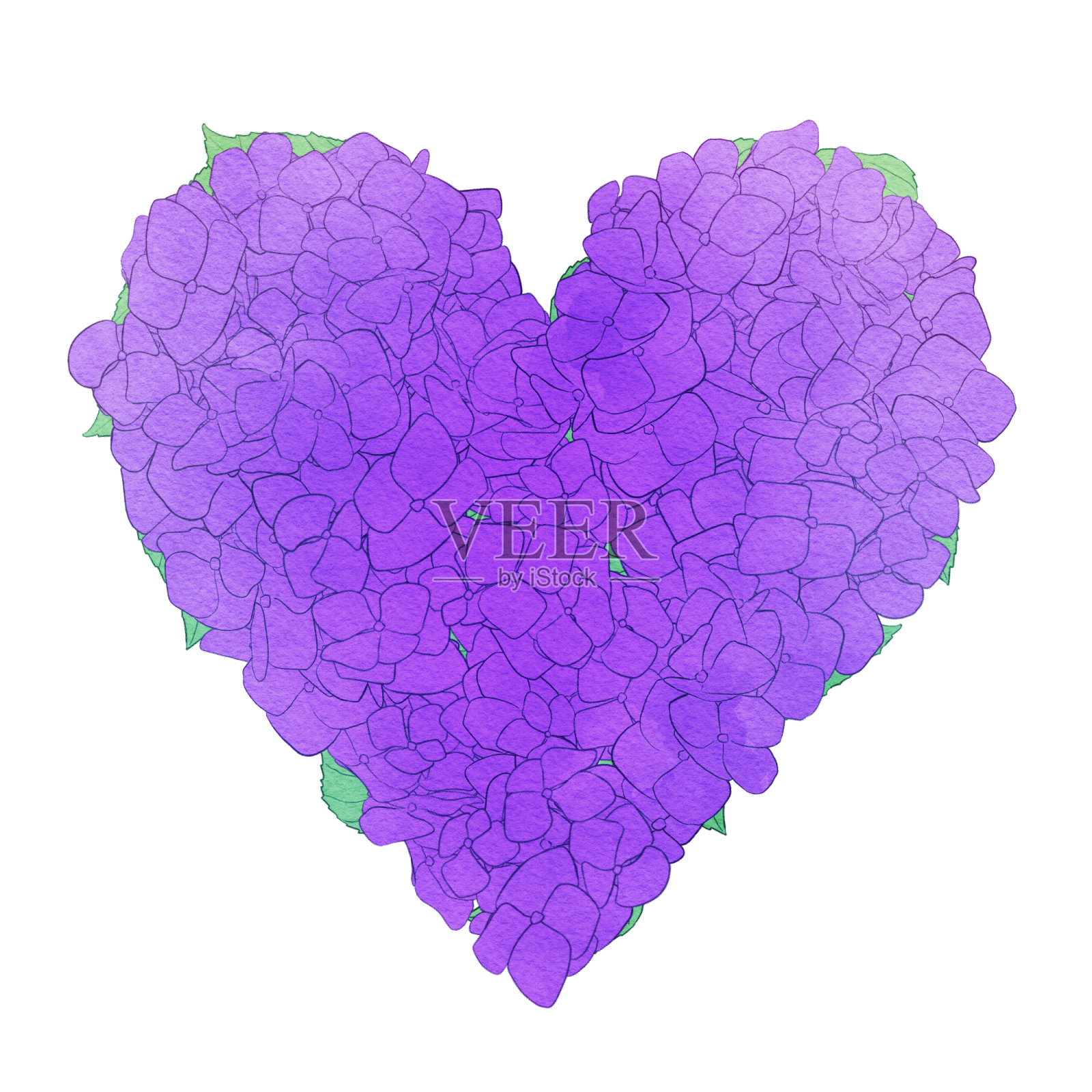 美丽的水彩绣球背景插图插画图片素材