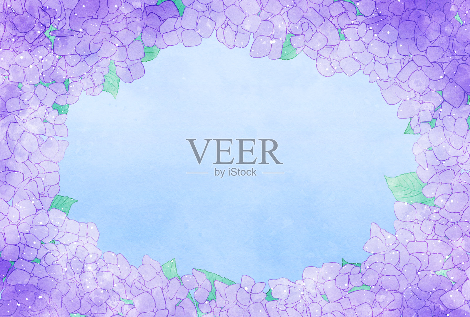 美丽的水彩绣球背景插图插画图片素材