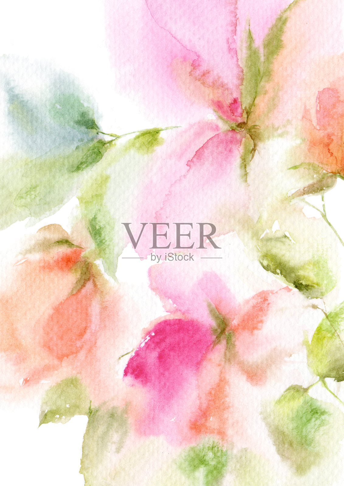 花的背景。水彩抽象粉红色花朵。花的贺卡。婚礼邀请花艺设计。精致的鲜花生日贺卡装饰。牡丹。插画图片素材