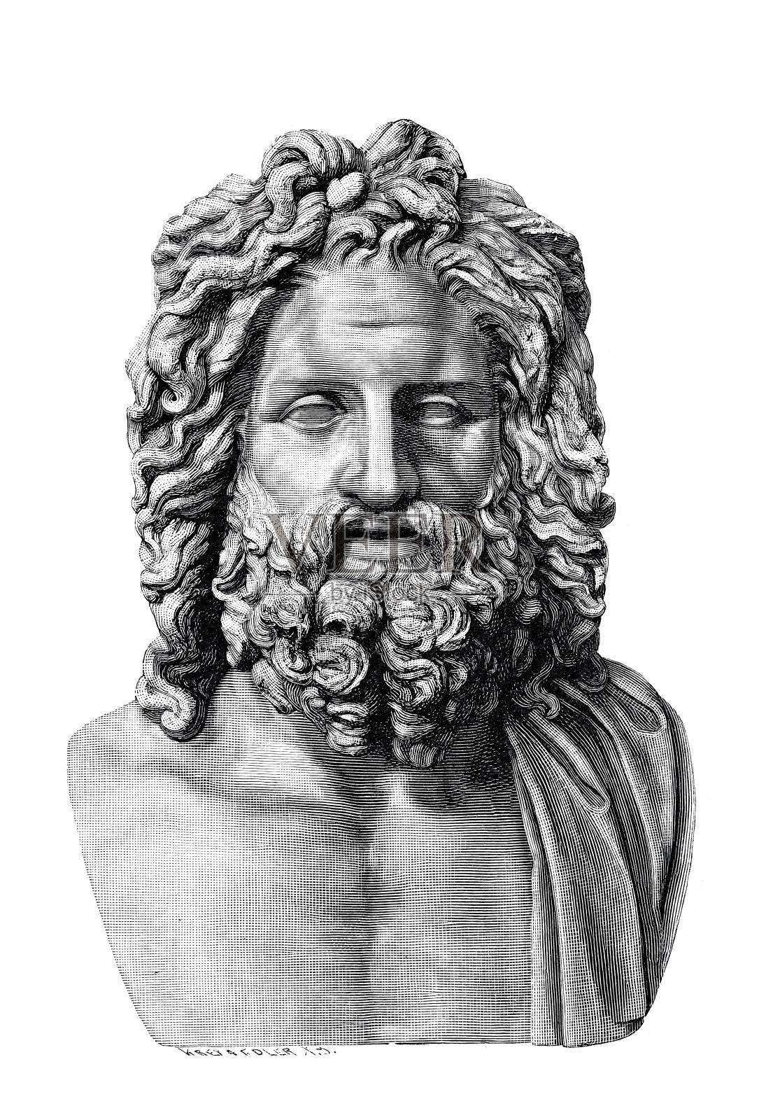 希腊神宙斯，白色背景的半身像插画图片素材