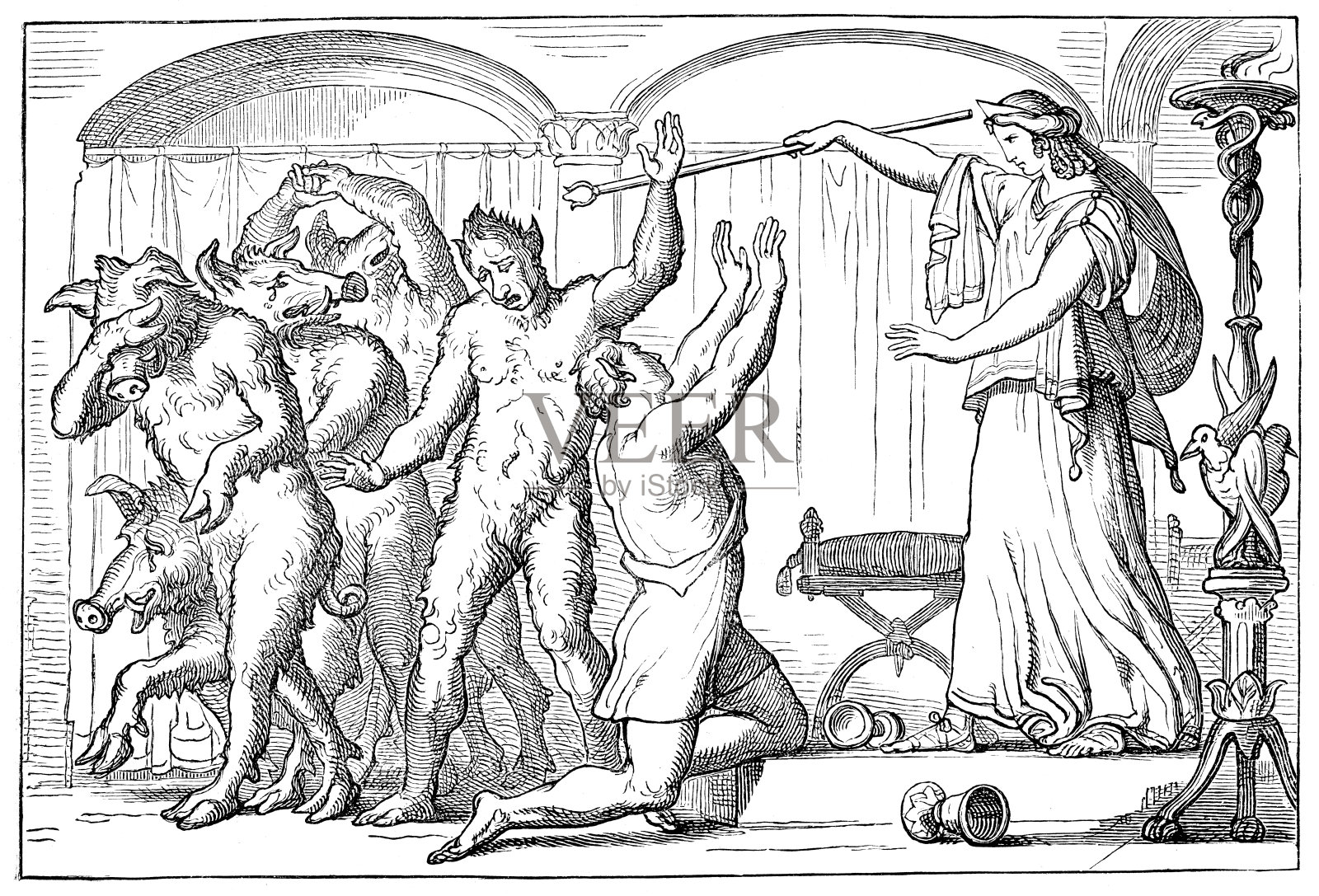 赛丝把人变成猪取自荷马的《奥德赛插画图片素材