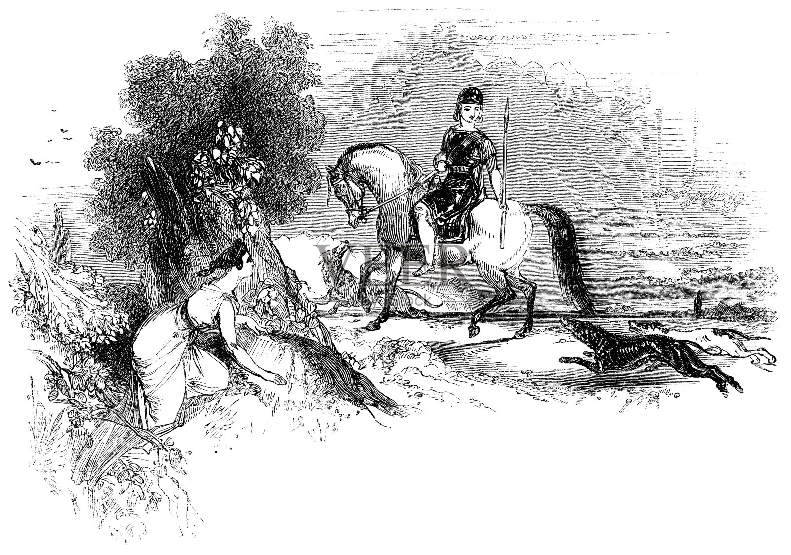 《维纳斯第一次见到阿多尼斯》——莎士比亚的作品插画图片素材