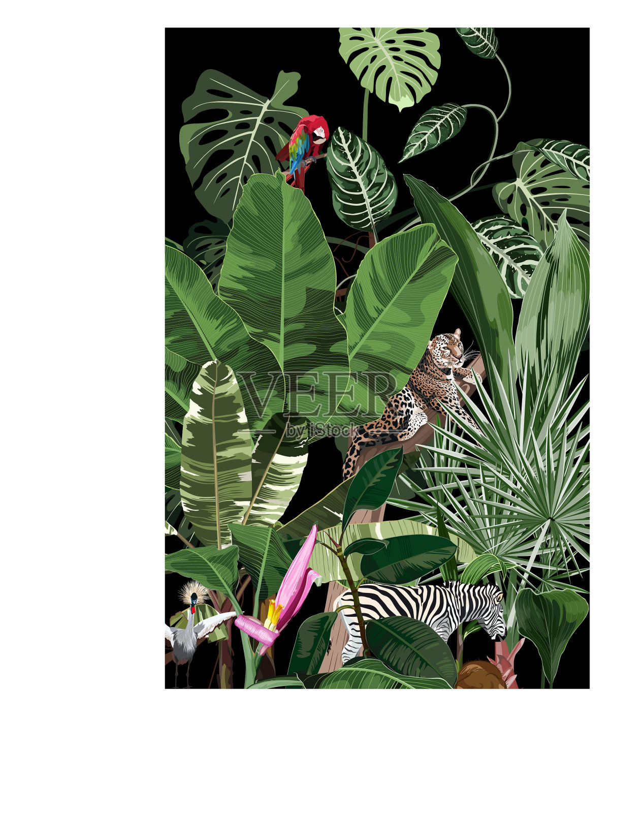 丛林植物卡通动物豹插画图片素材