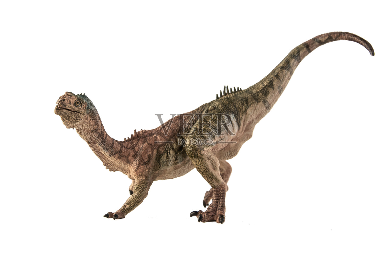 Chilesaurus恐龙在白色背景剪切路径照片摄影图片