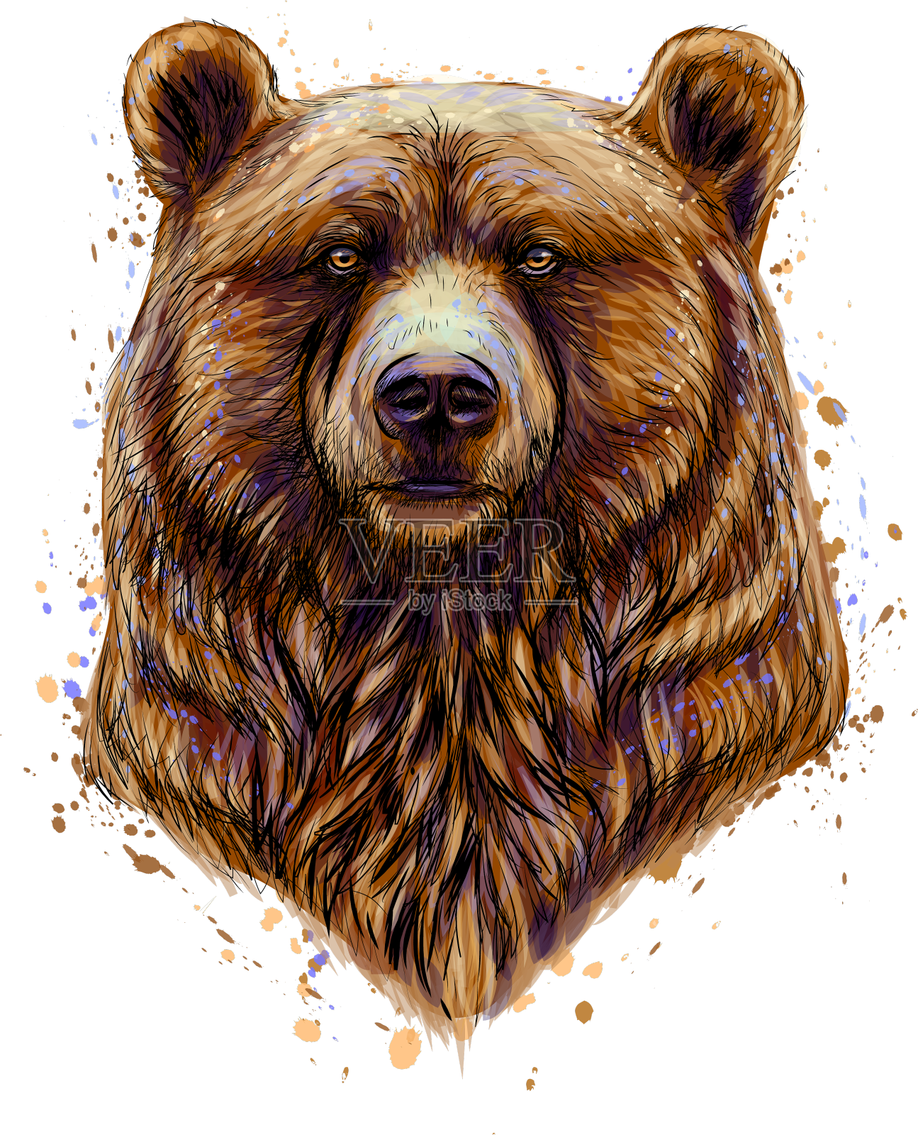 肖像一只棕熊的头从飞溅设计元素图片