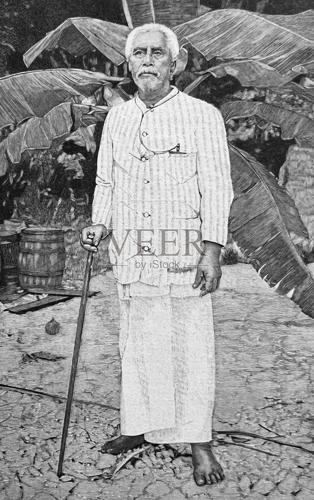 萨摩亚王插画图片素材