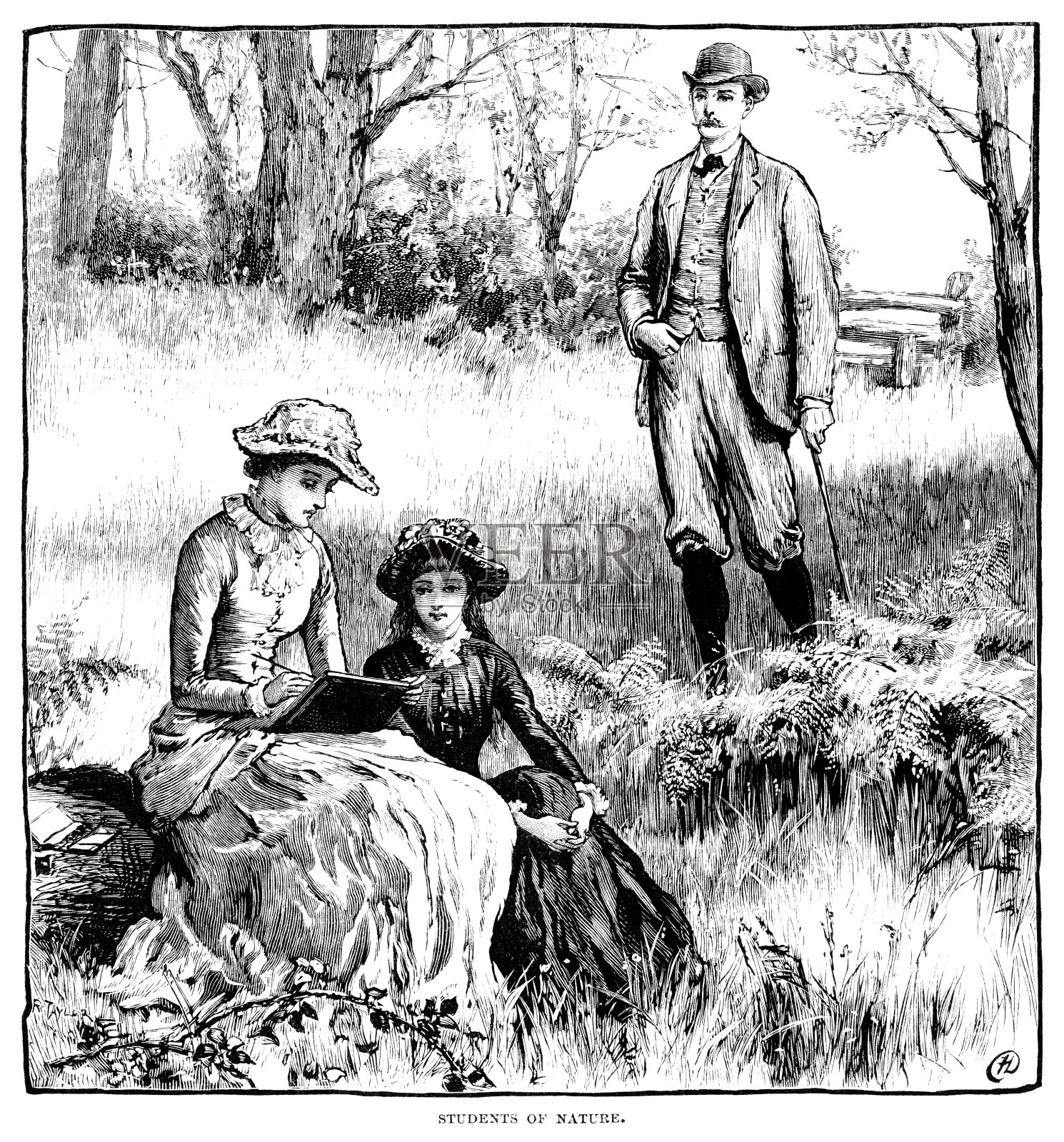 年轻的维多利亚妇女在乡村作画插画图片素材