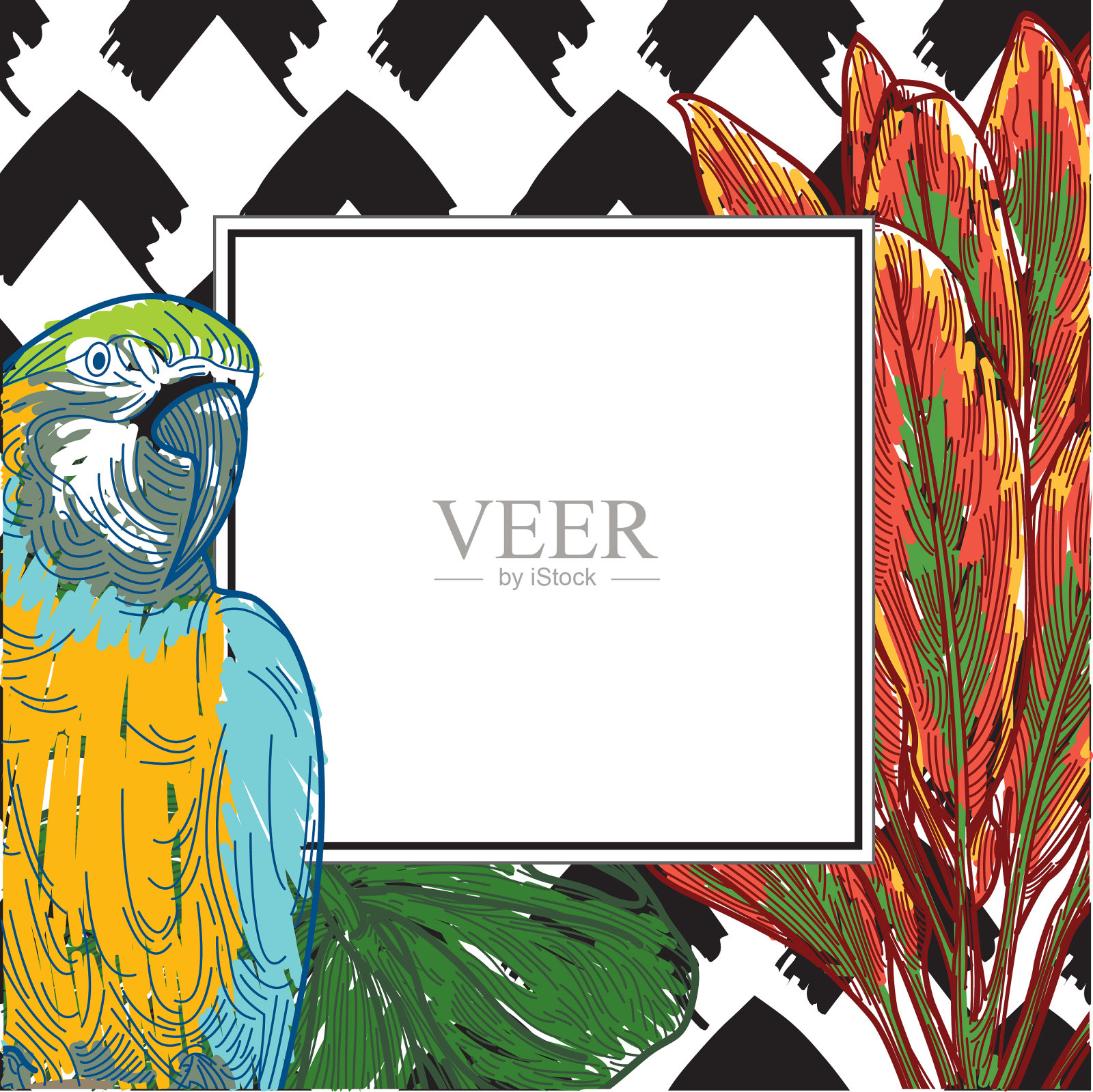 热带框架与鹦鹉，怪兽，红ti叶插画图片素材