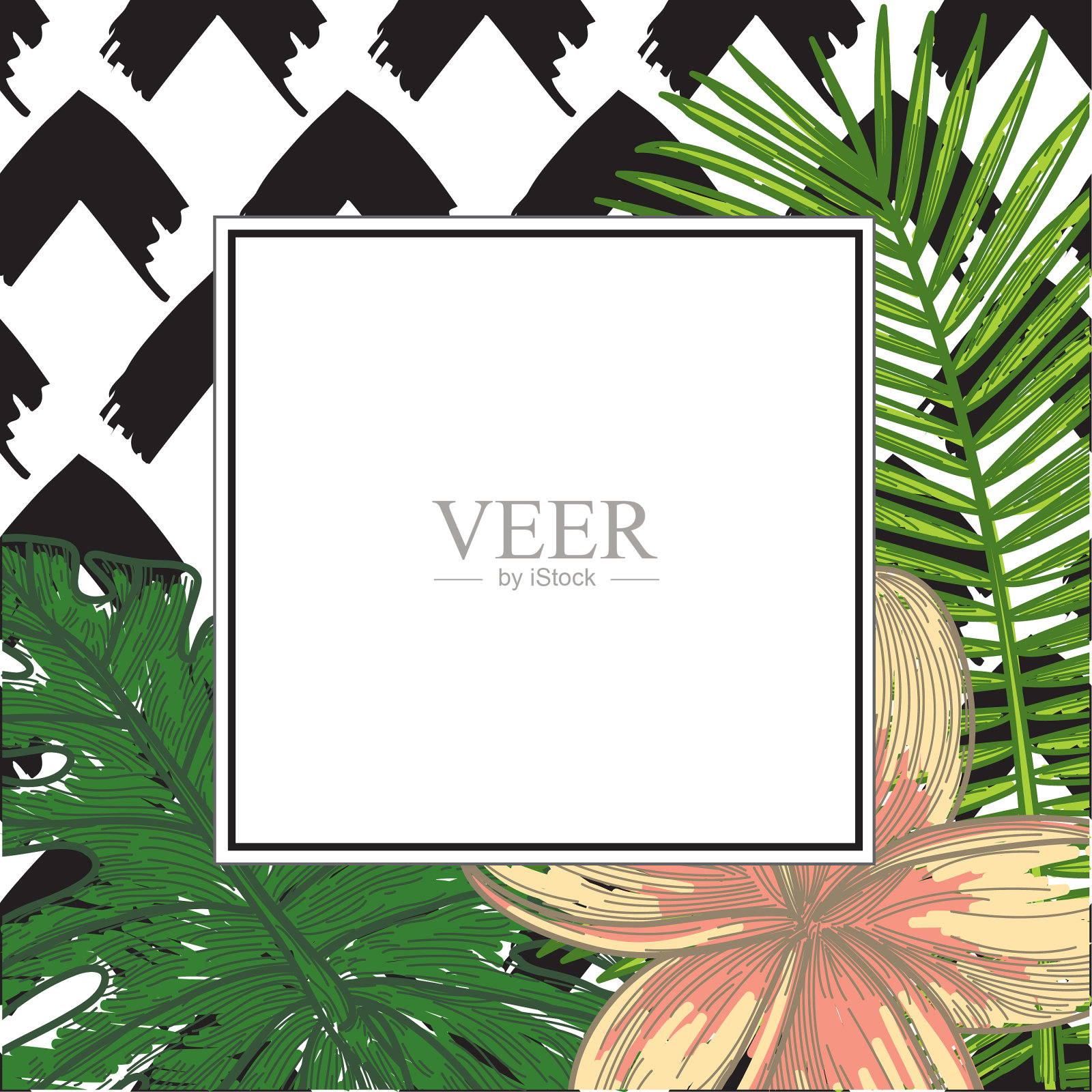 热带框架与怪物，鸡蛋花，和棕榈插画图片素材