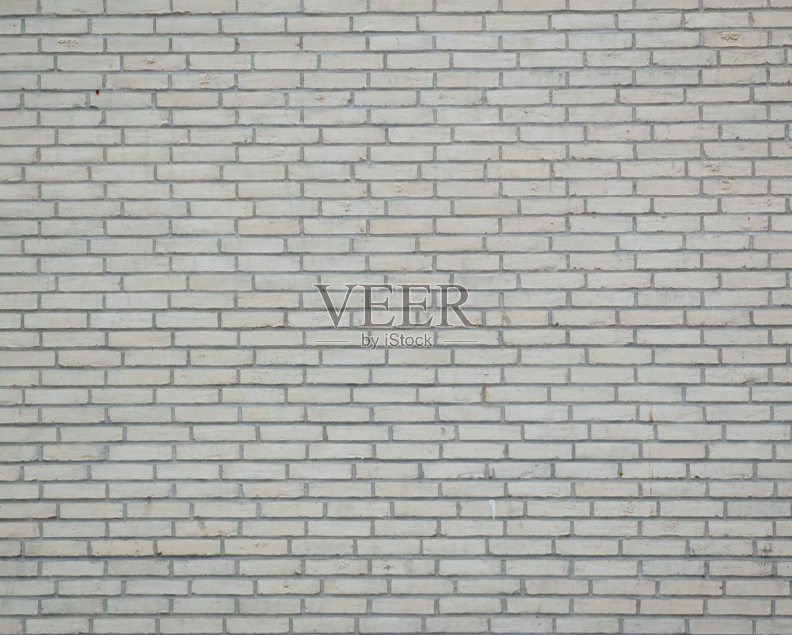 背景为灰色砖墙照片摄影图片