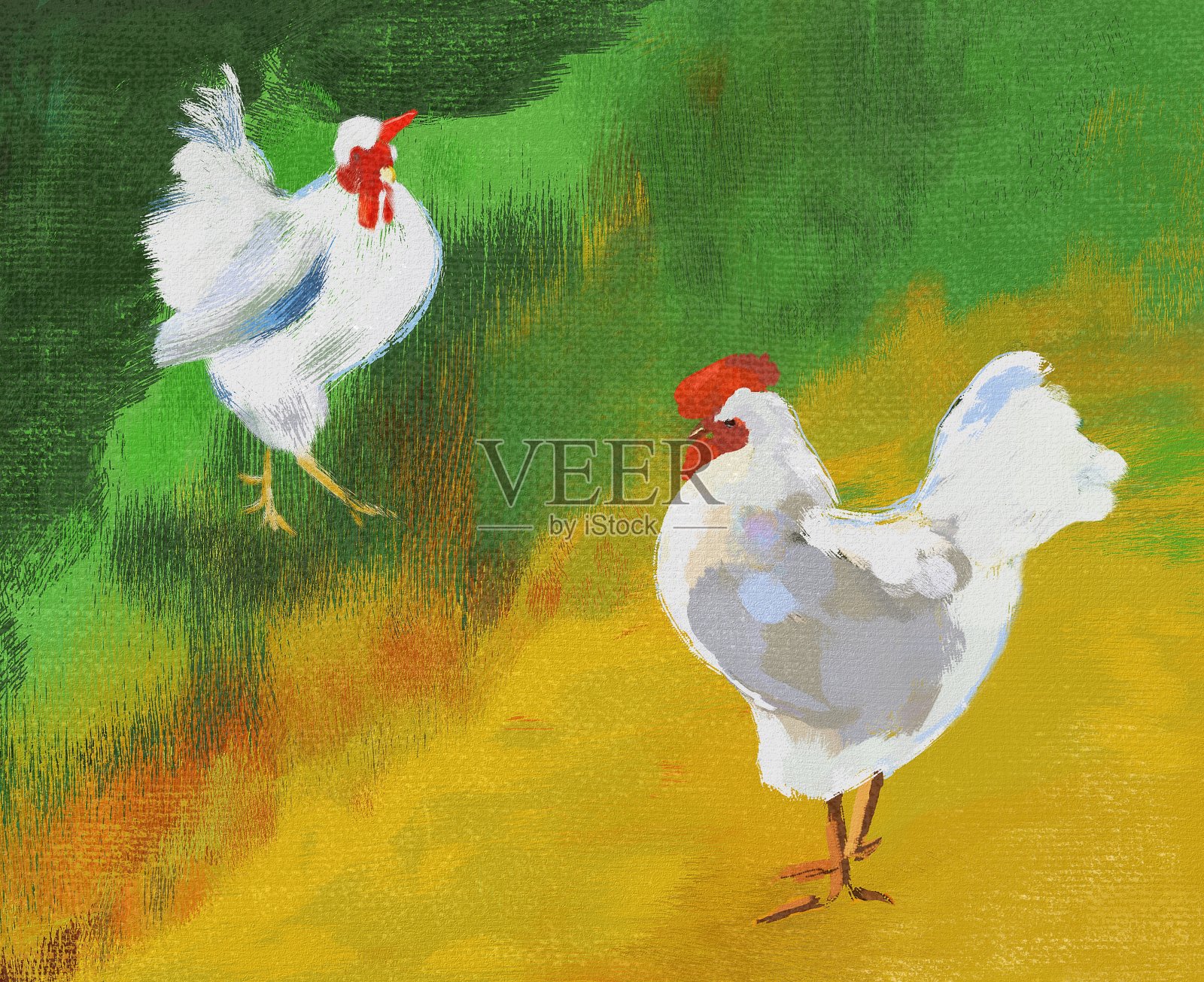 在明亮的背景上画了两只白色公鸡插画图片素材