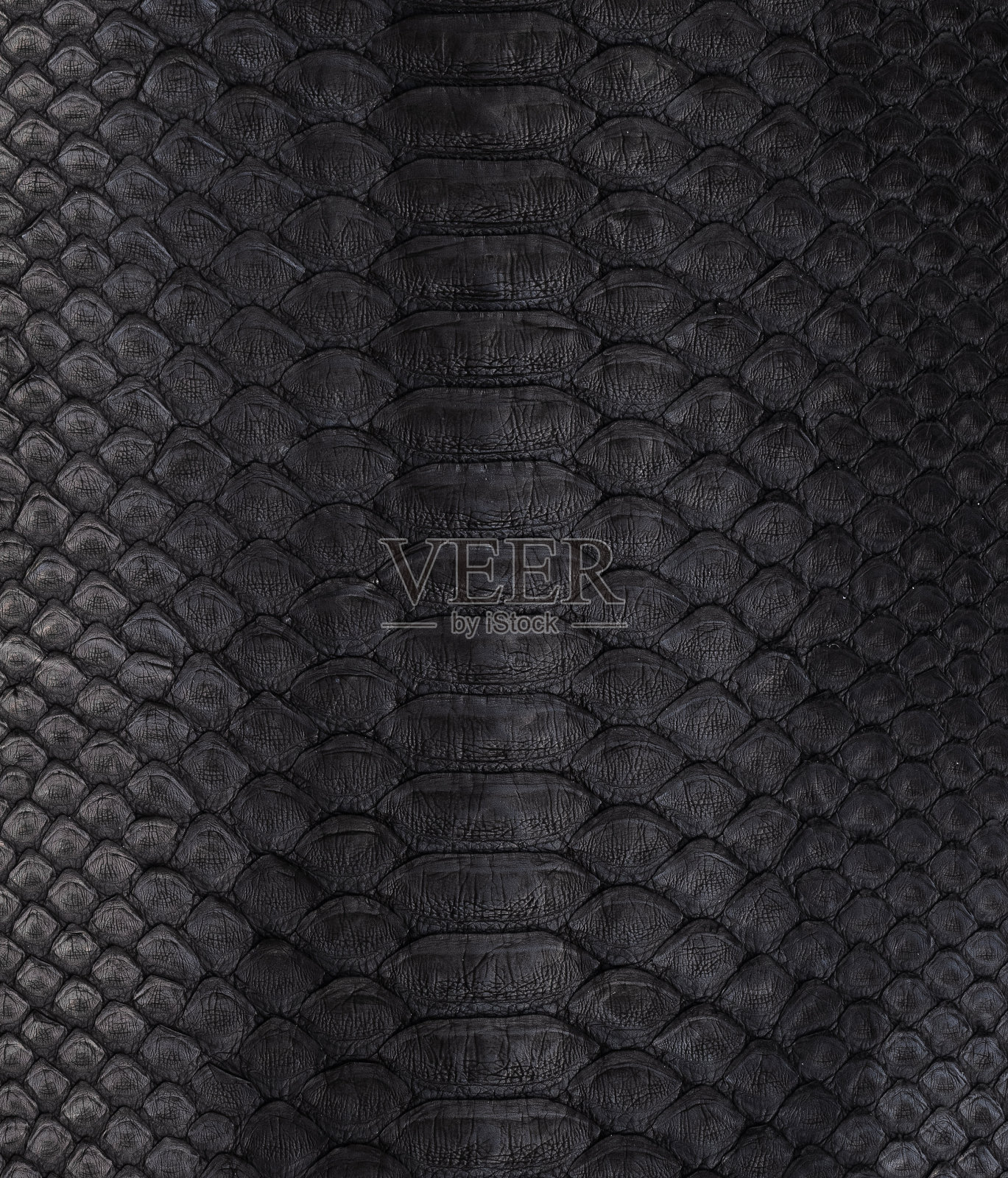 蟒蛇皮材质照片摄影图片