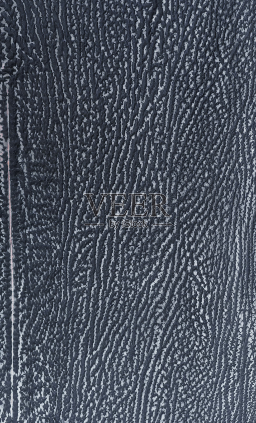 鲨鱼的皮肤纹理照片摄影图片