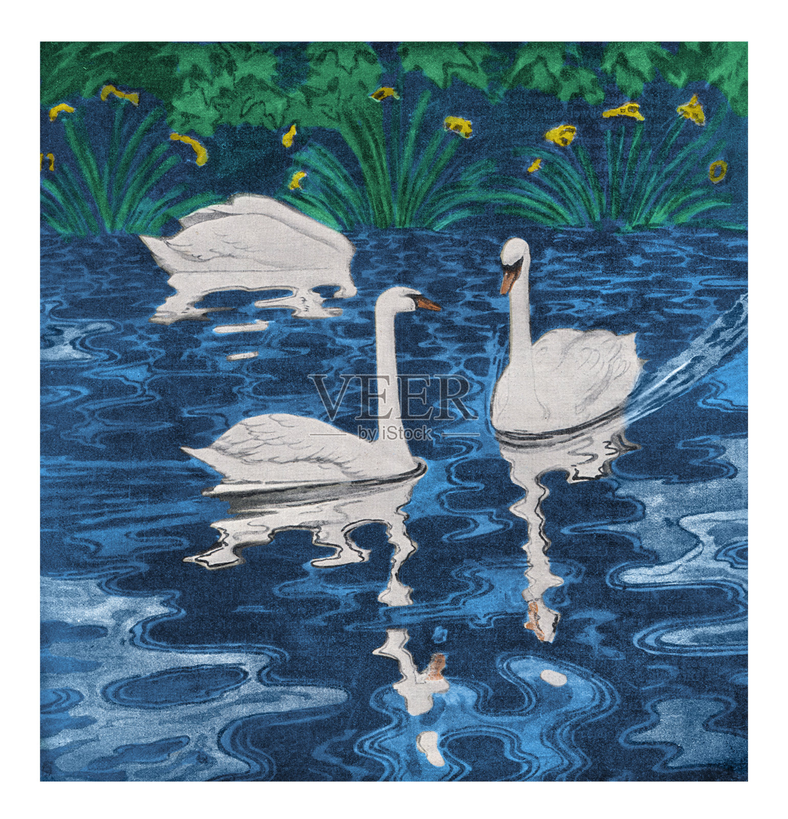 白天鹅在湖中游泳1896年新艺术运动插画图片素材