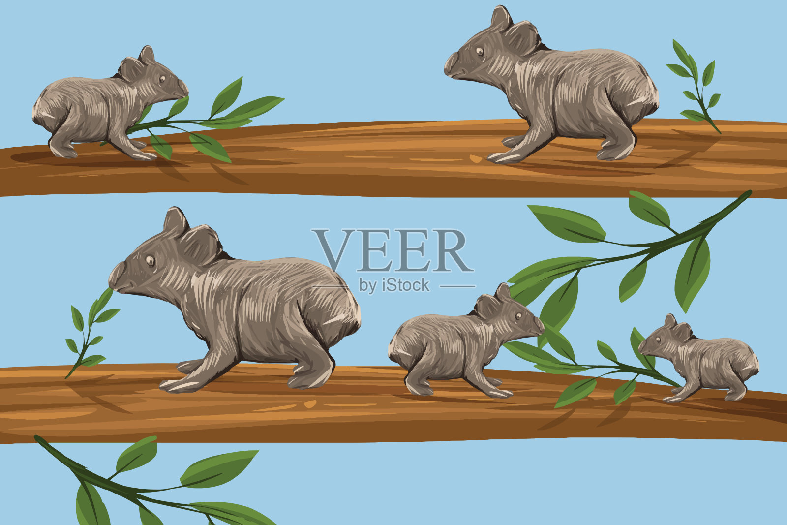 考拉在树上插画图片素材