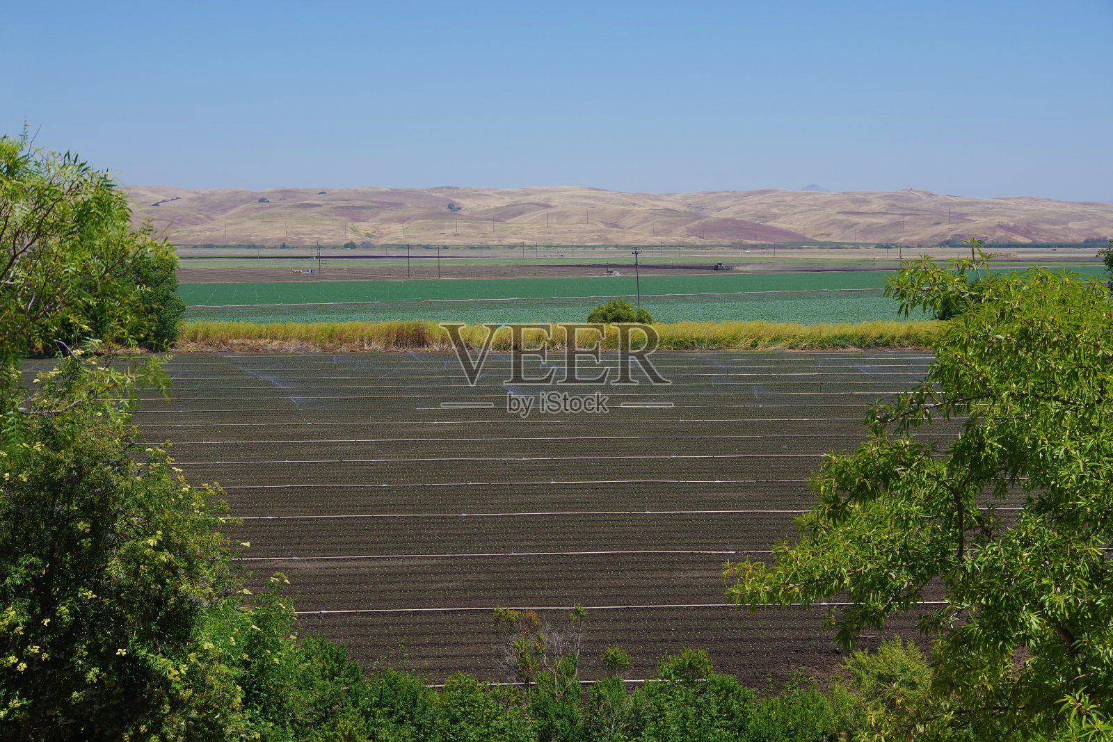农业景观照片摄影图片