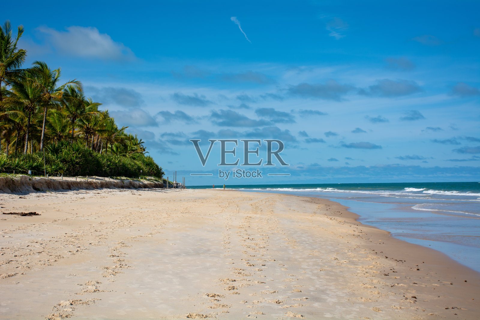 无尽的海滩，椰子和大海照片摄影图片