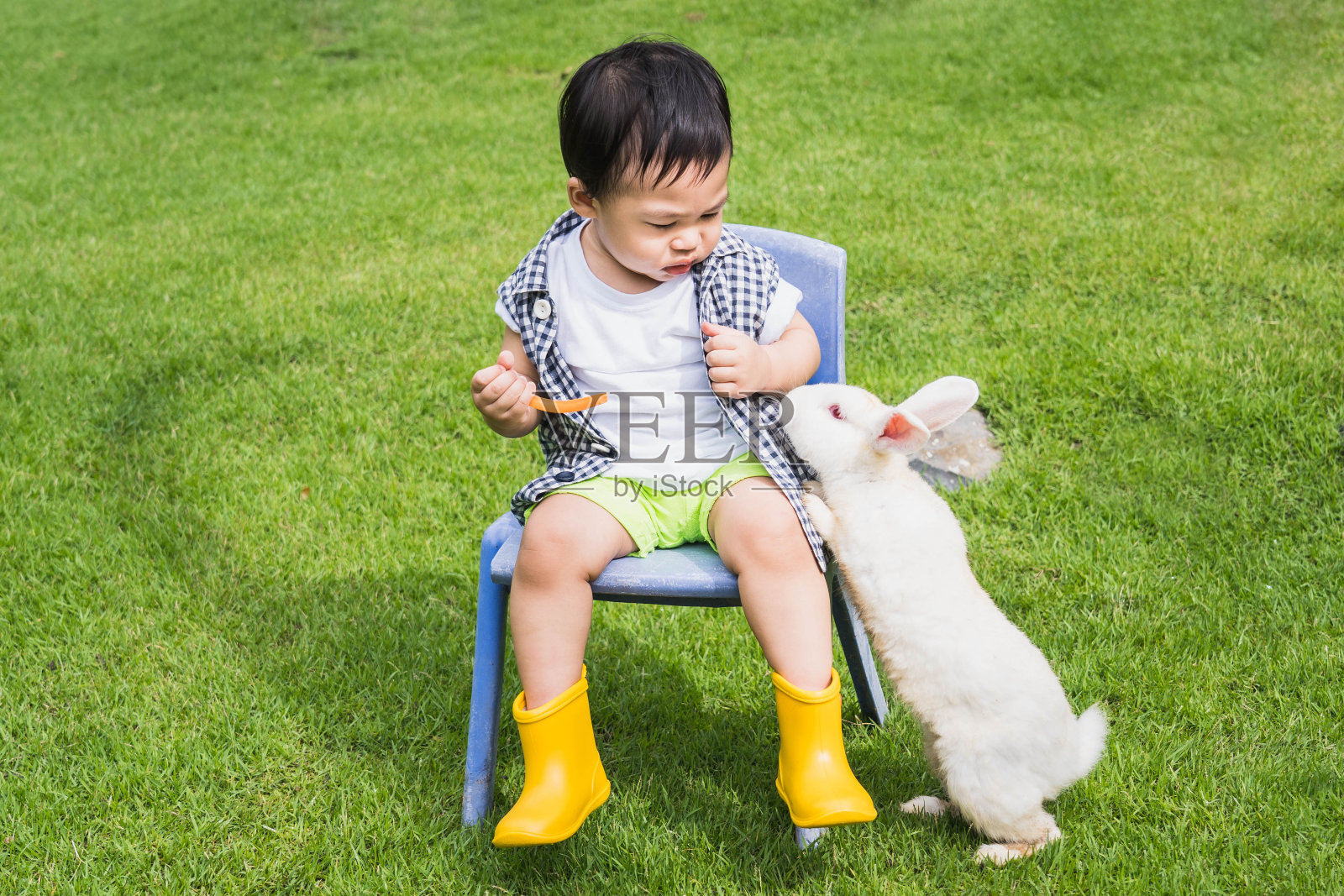 亚洲可爱男孩坐在花园草坪的椅子上，手里拿着胡萝卜，一只小白兔在乞讨。愉快的一天。空闲时间和假日活动。照片摄影图片