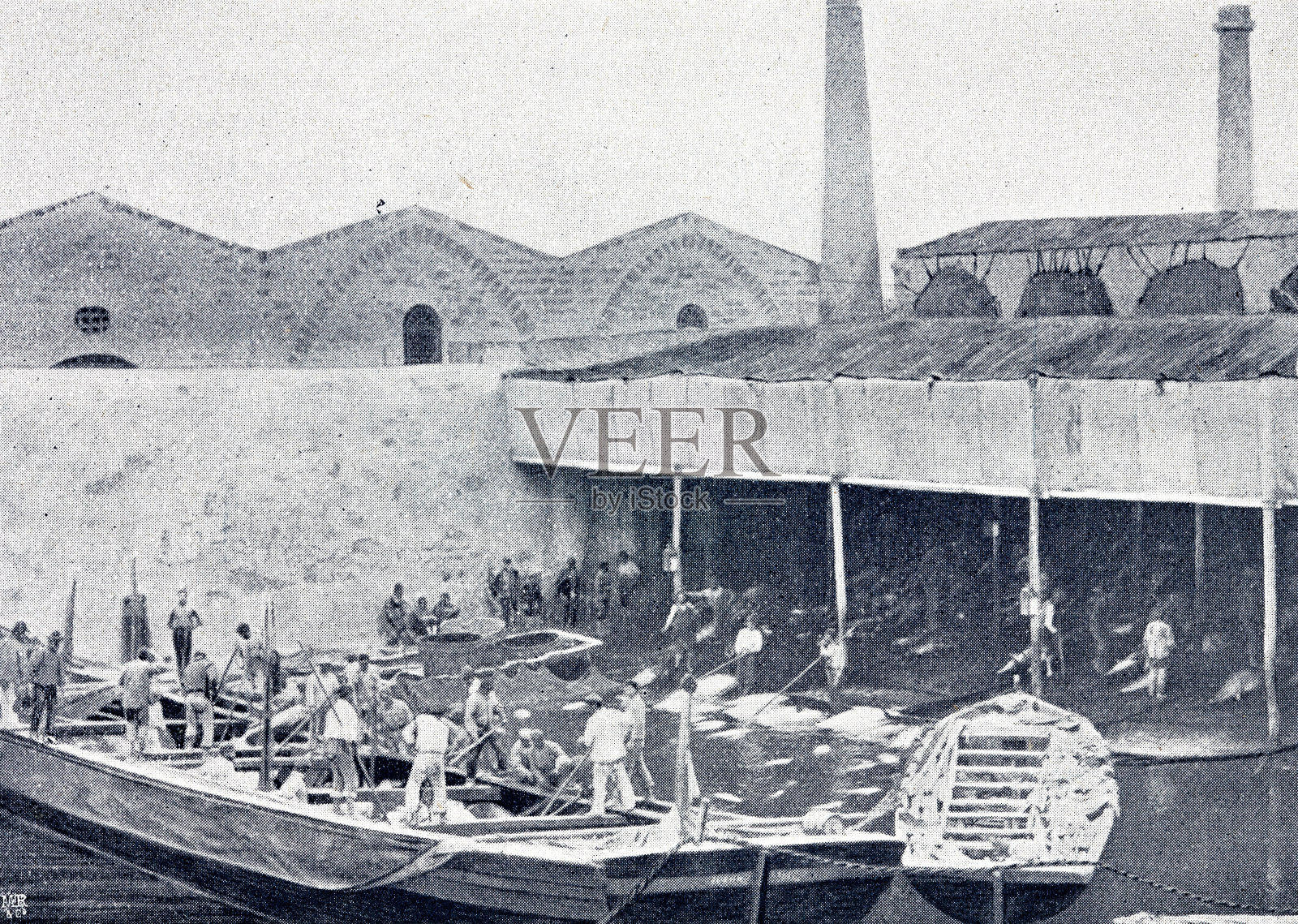 Mattanza，把金枪鱼送到工厂插画图片素材