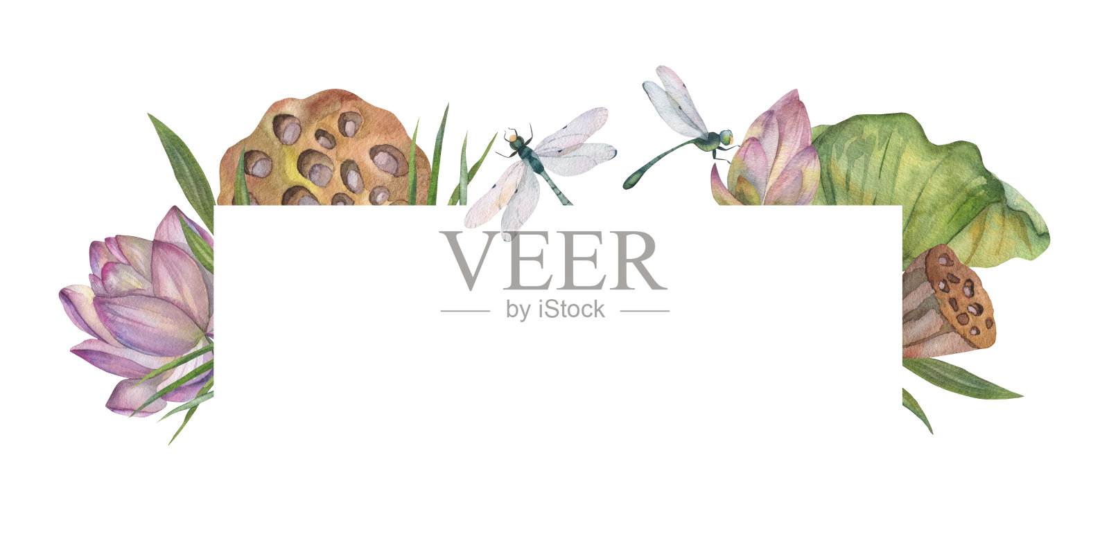 长方形排列着荷花和枯绿的蜻蜓。插画图片素材