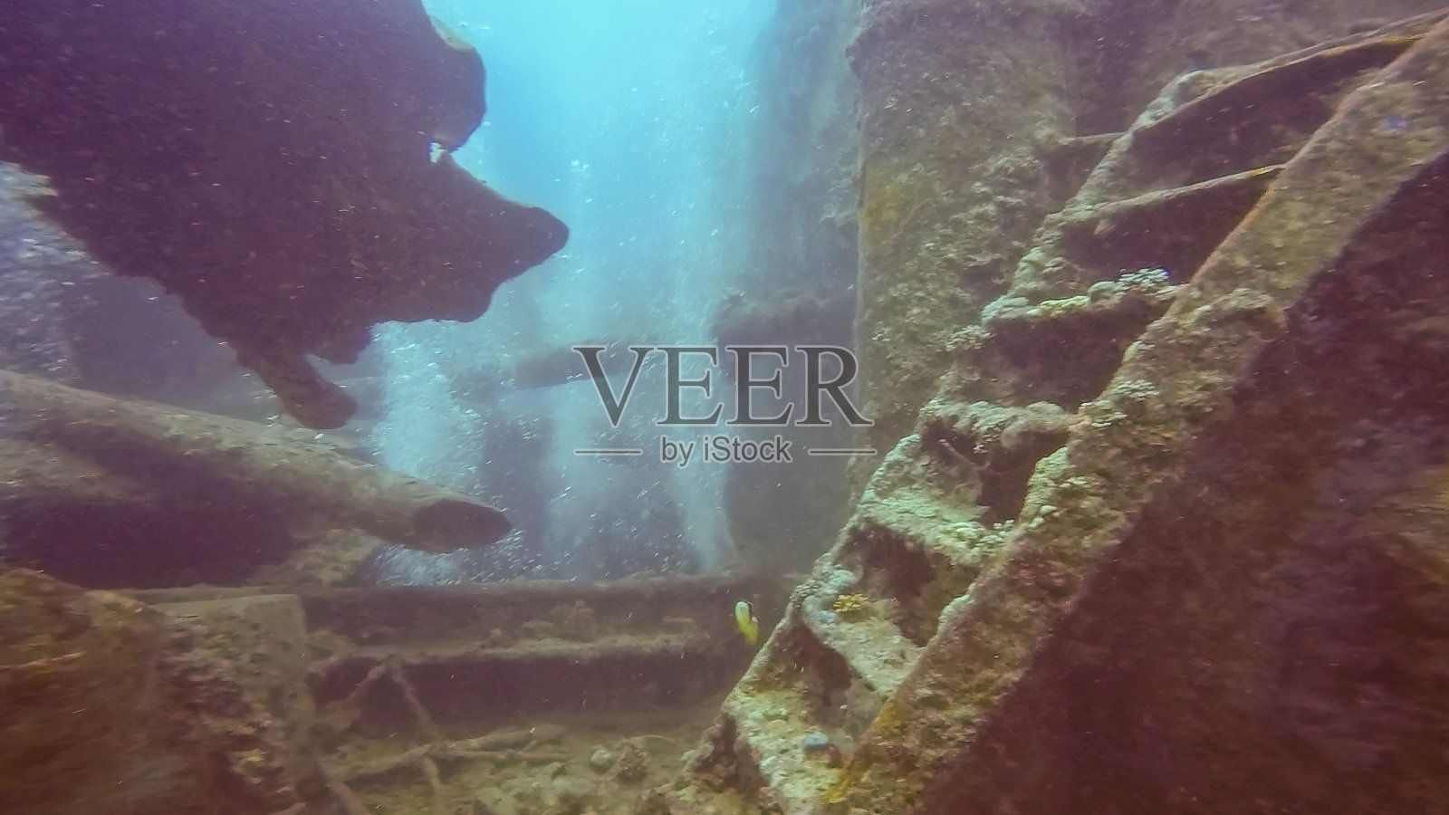 埃及红海的SS蓟戈姆号残骸照片摄影图片